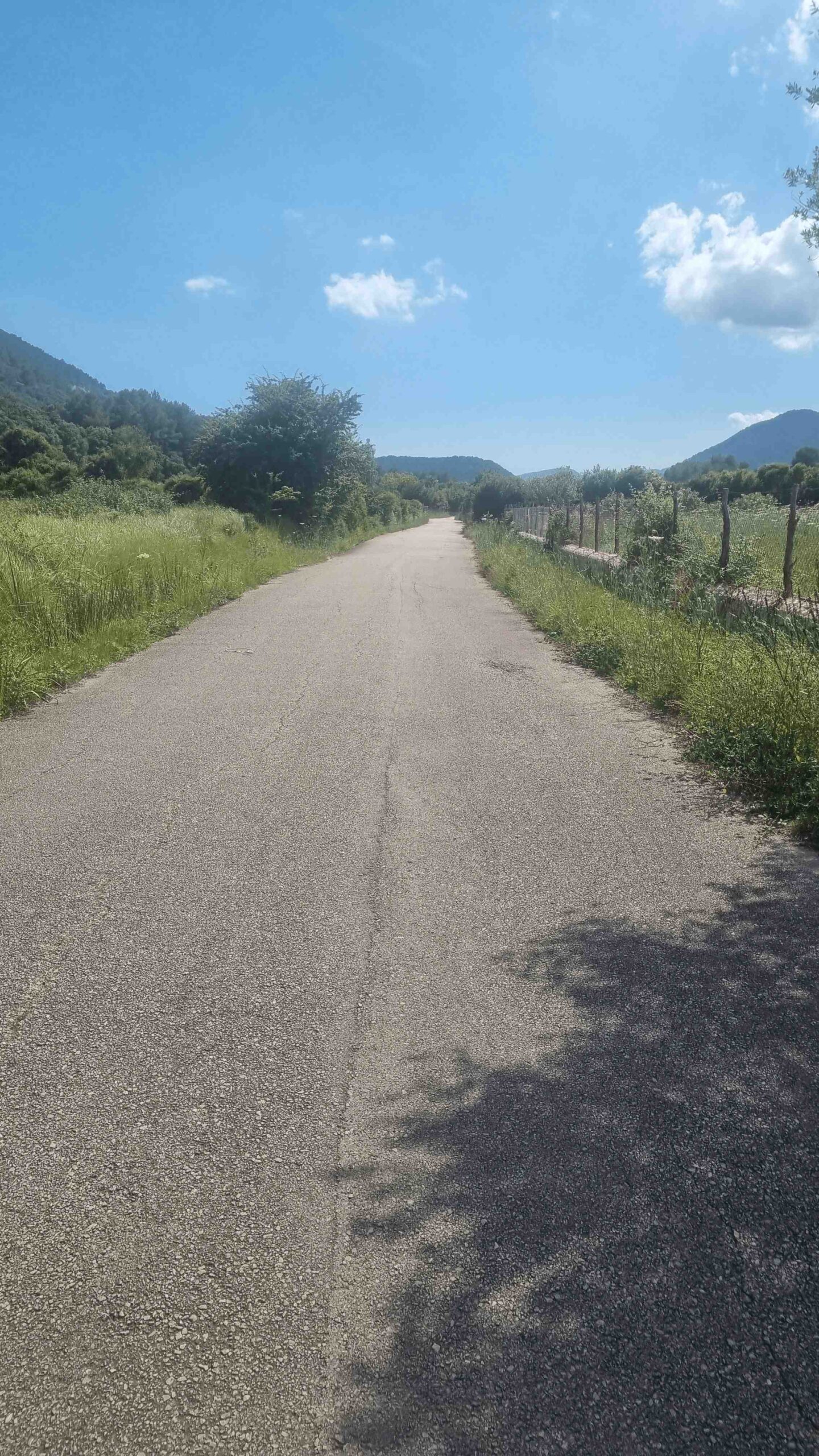 2025-Mallorca-Tag1 (34)