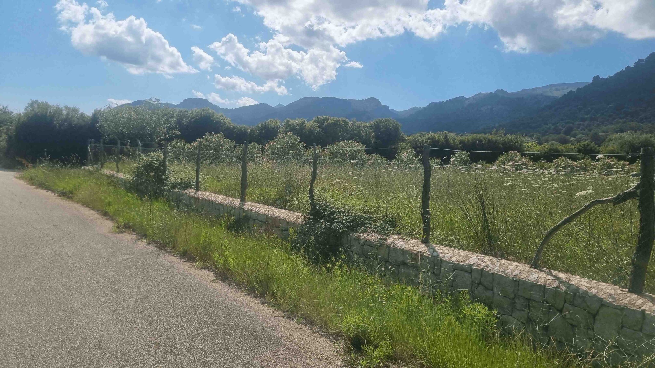 2025-Mallorca-Tag1 (35)