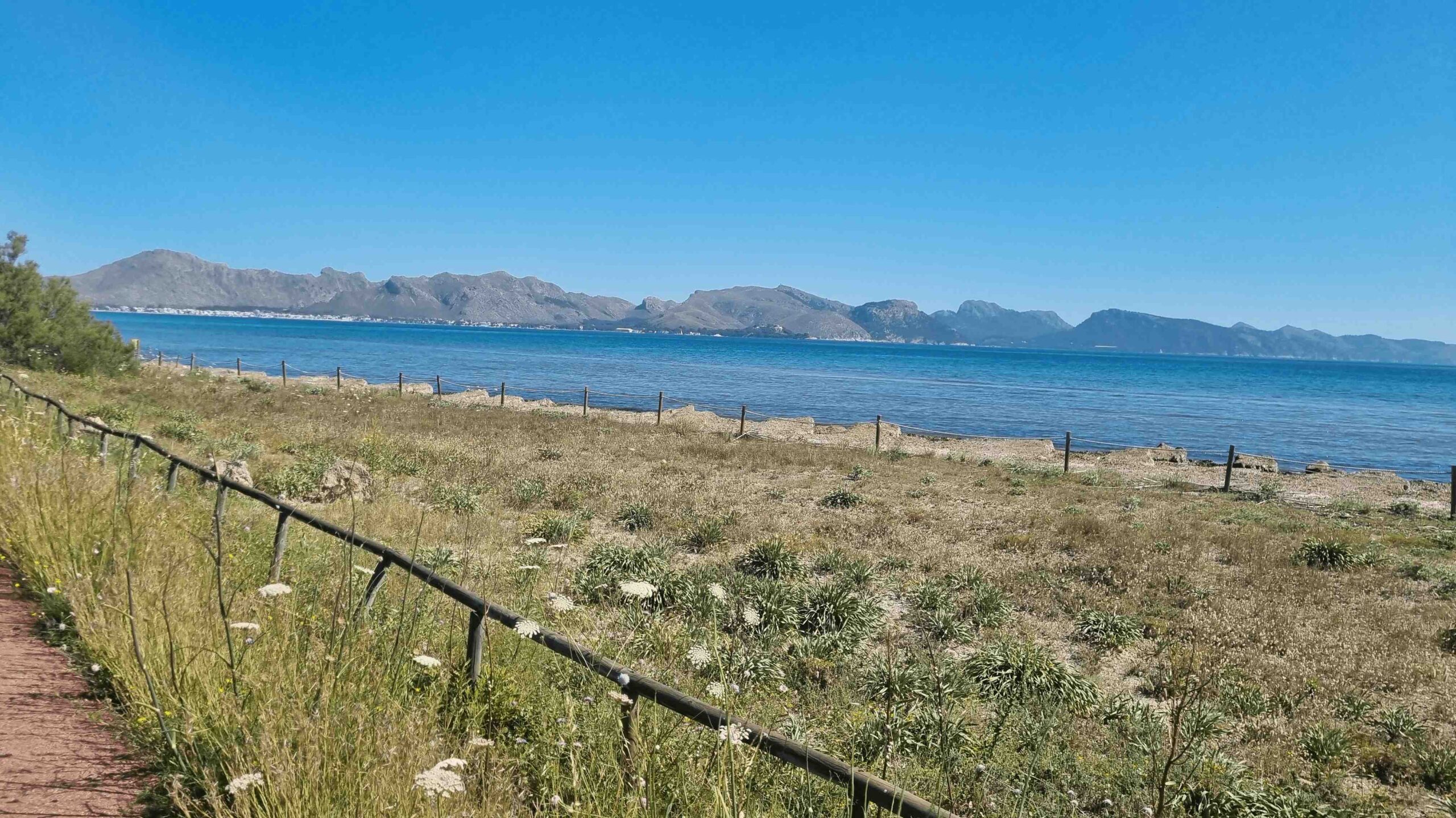 2025-Mallorca-Tag1 (7)