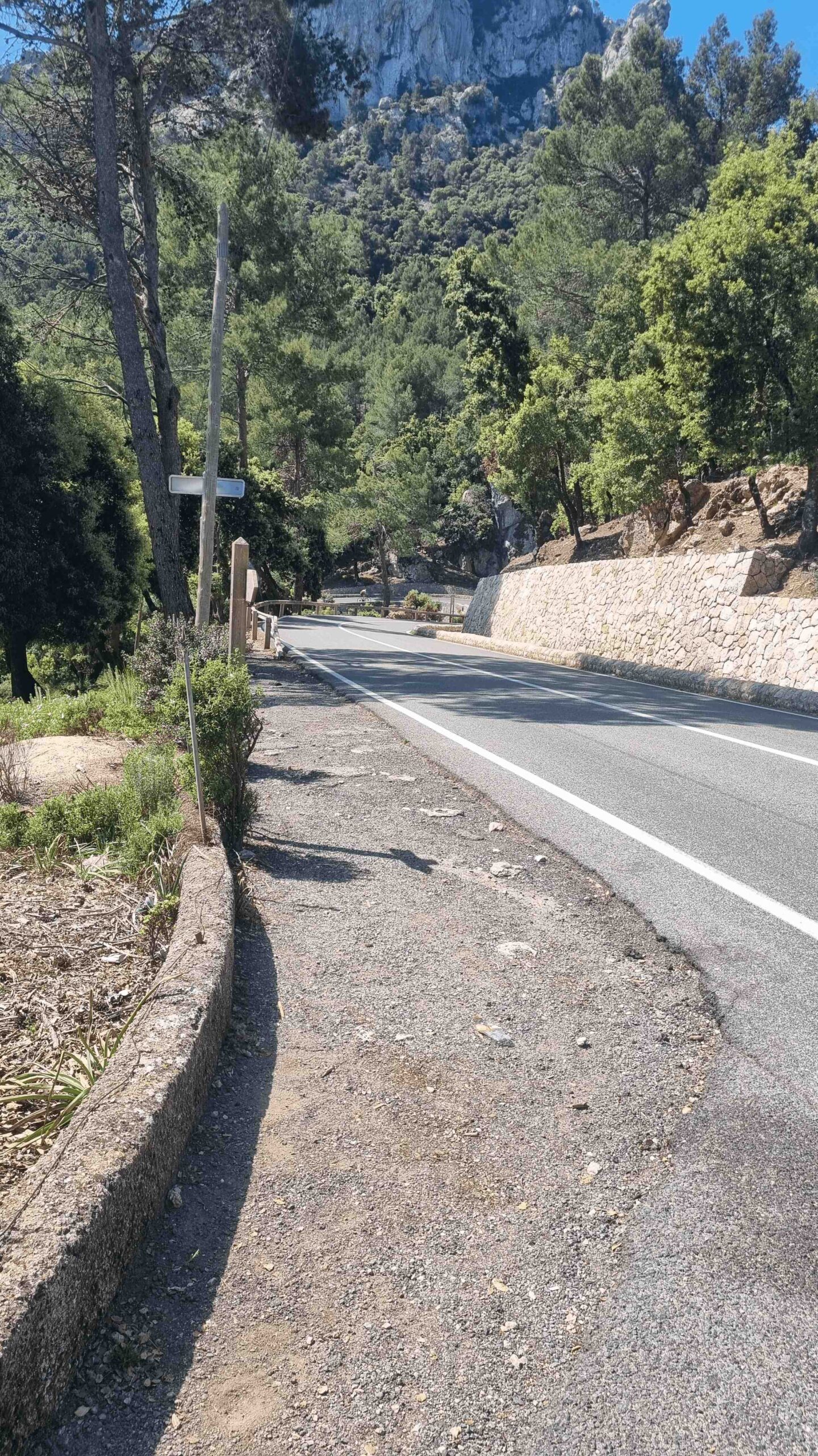 2025-Mallorca-Tag2 (10)