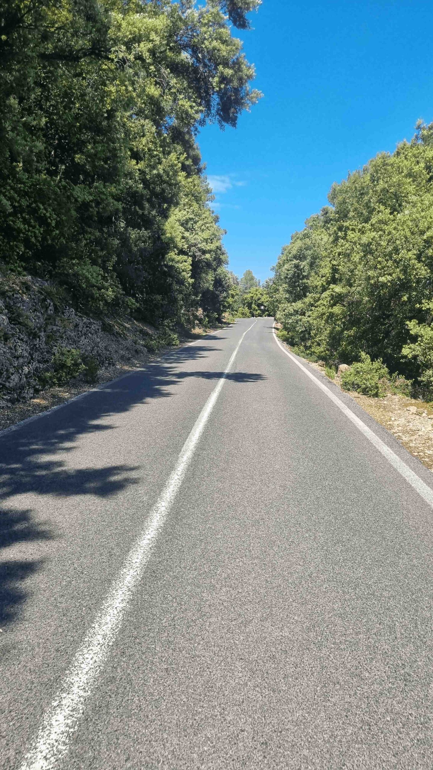 2025-Mallorca-Tag2 (12)