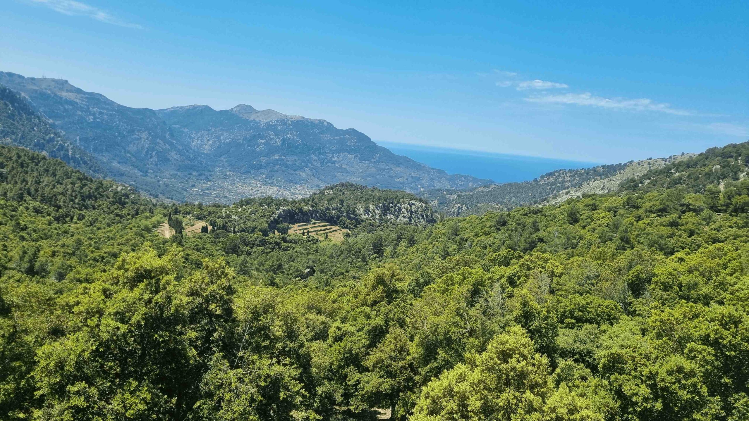 2025-Mallorca-Tag2 (16)