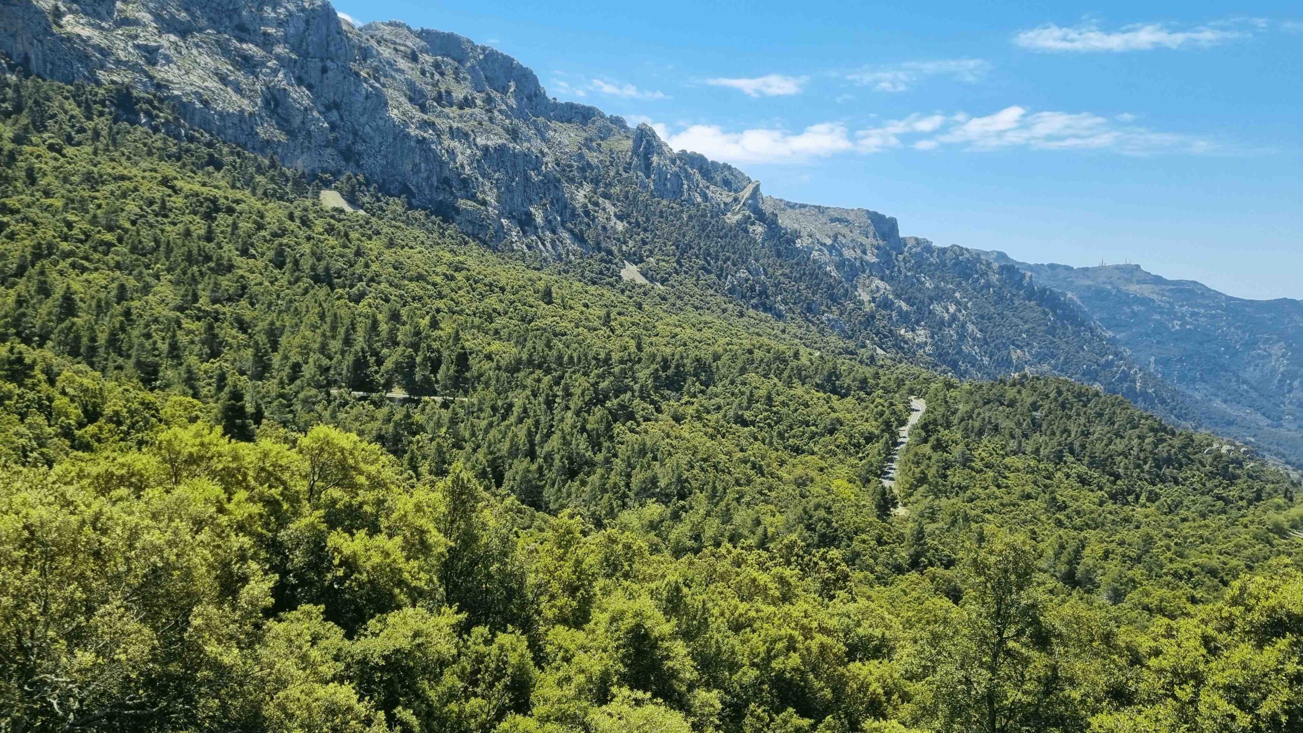 2025-Mallorca-Tag2 (17)