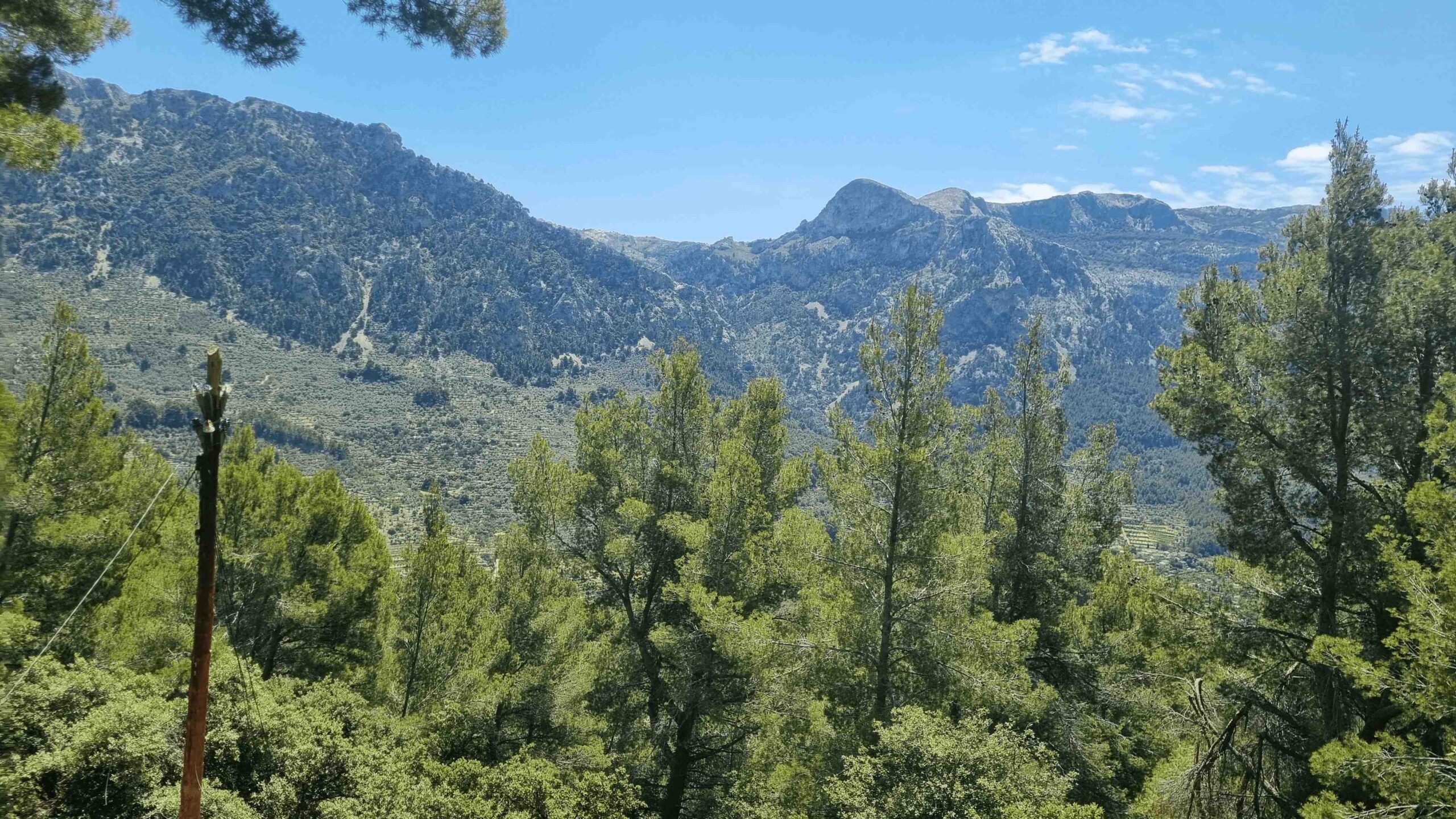 2025-Mallorca-Tag2 (19)