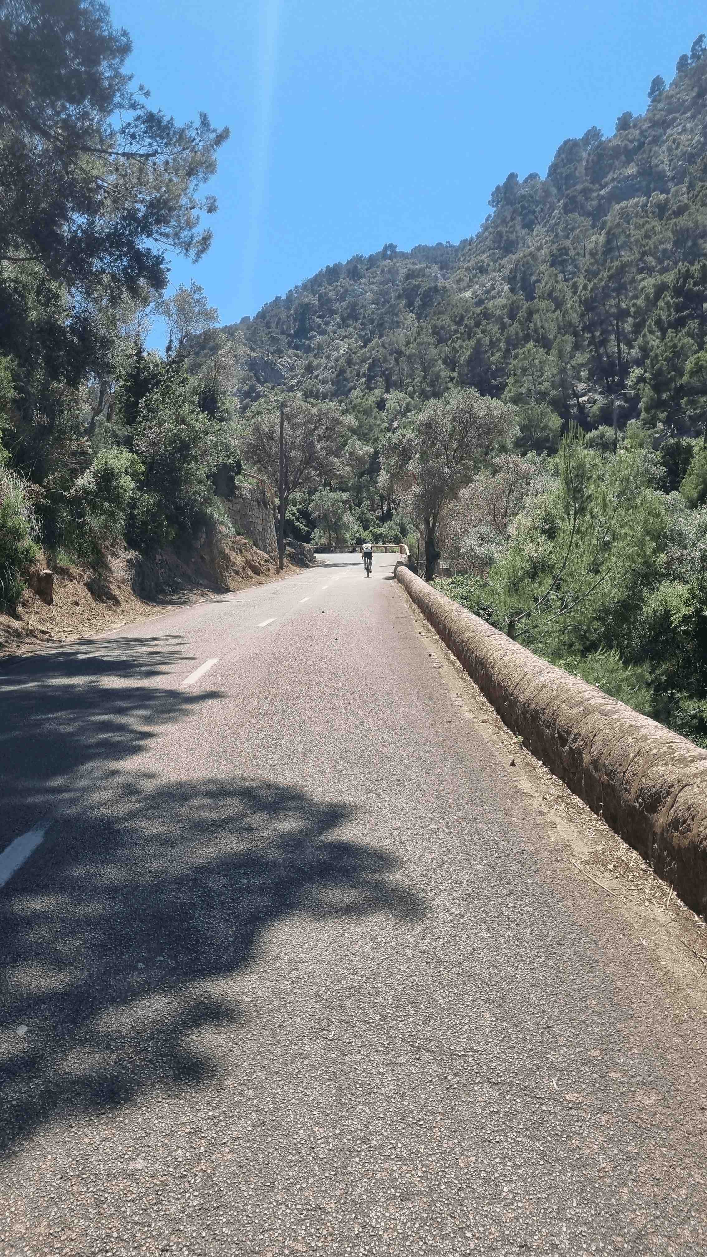 2025-Mallorca-Tag2 (28)