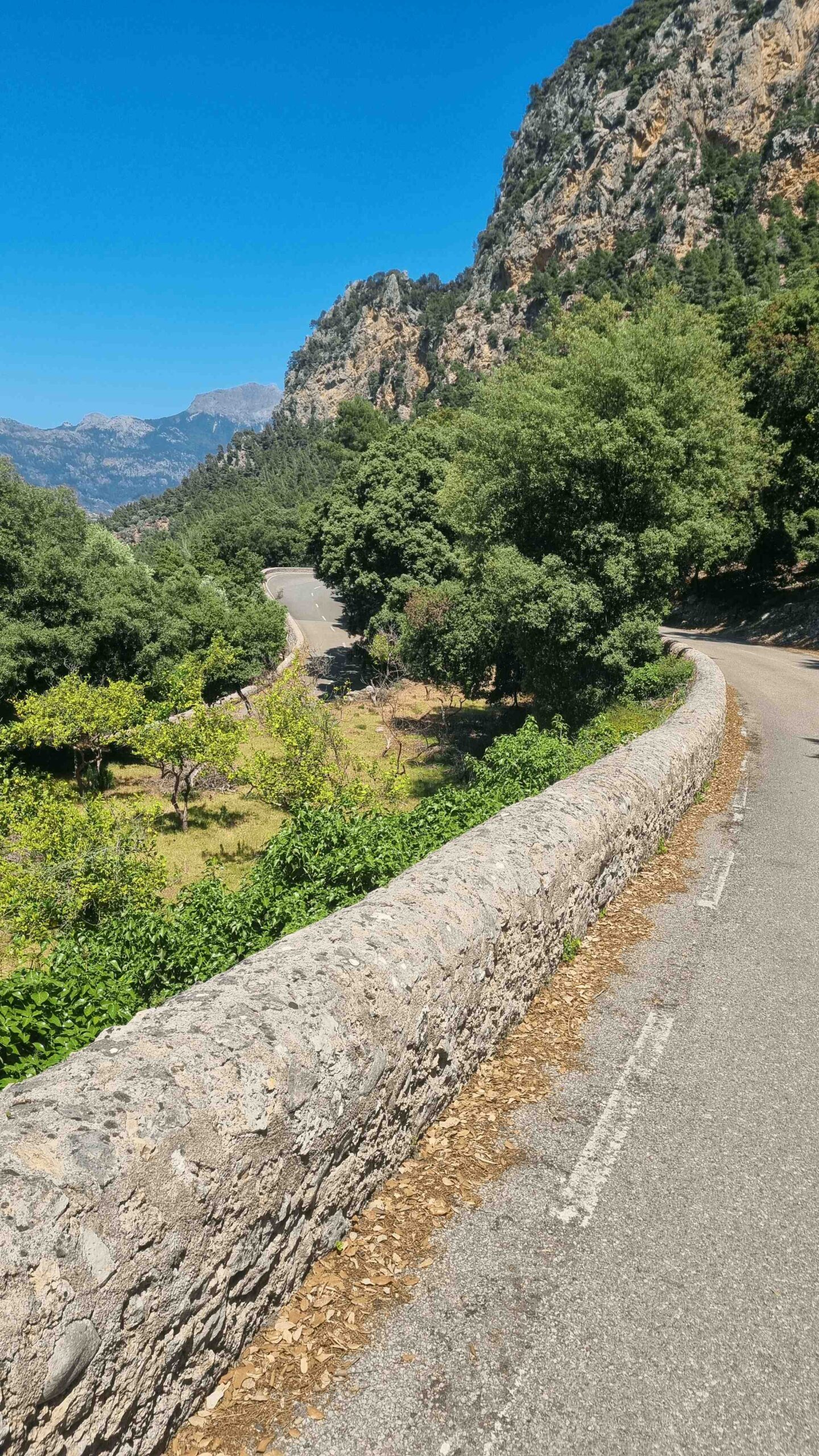 2025-Mallorca-Tag2 (29)