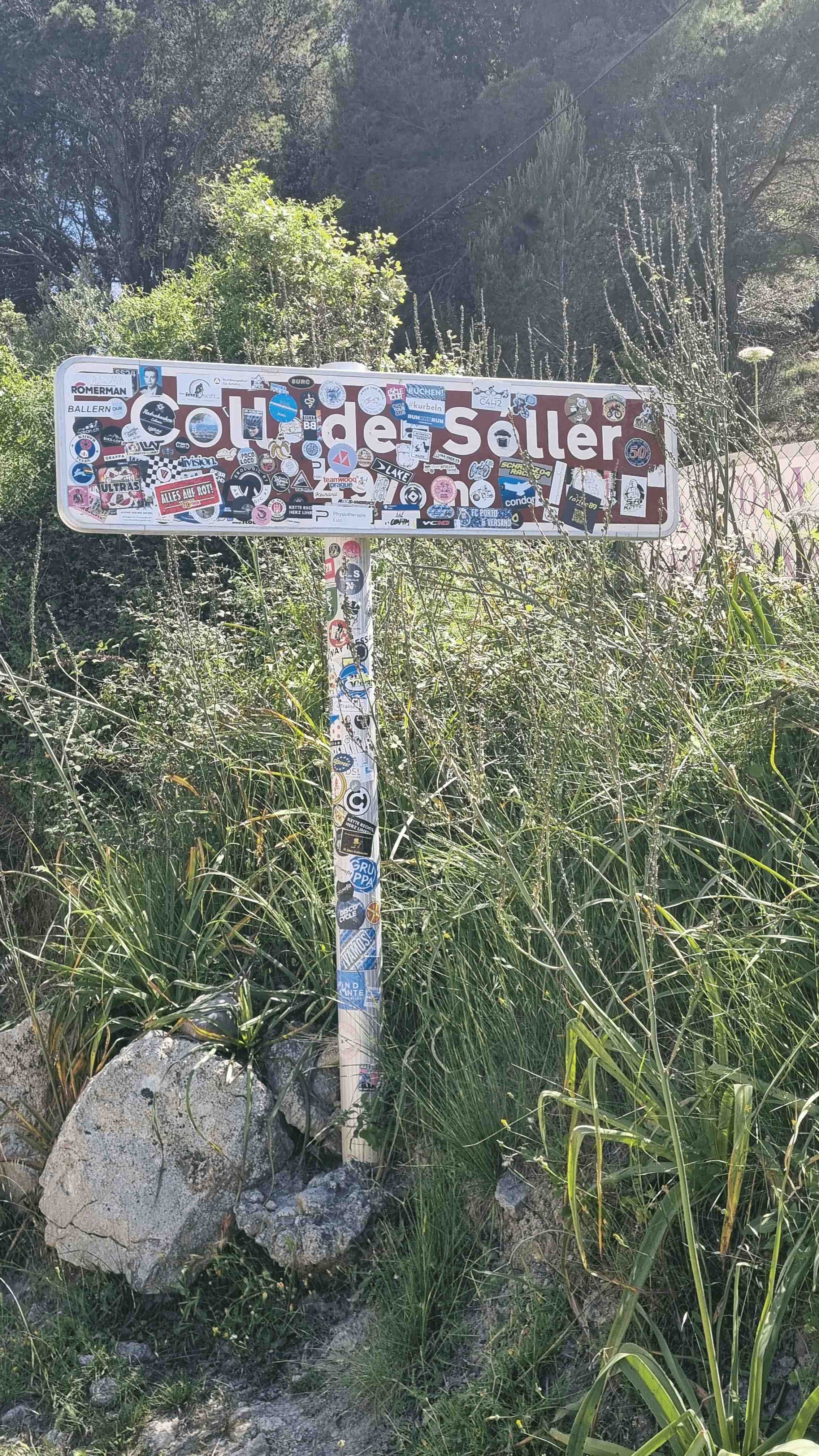 2025-Mallorca-Tag2 (32)