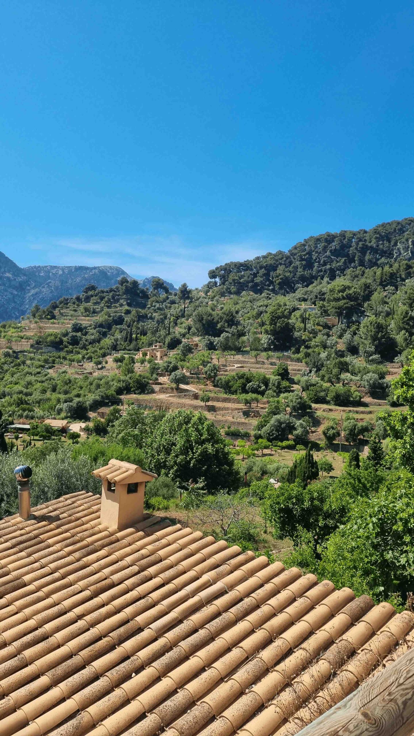 2025-Mallorca-Tag2 (34)