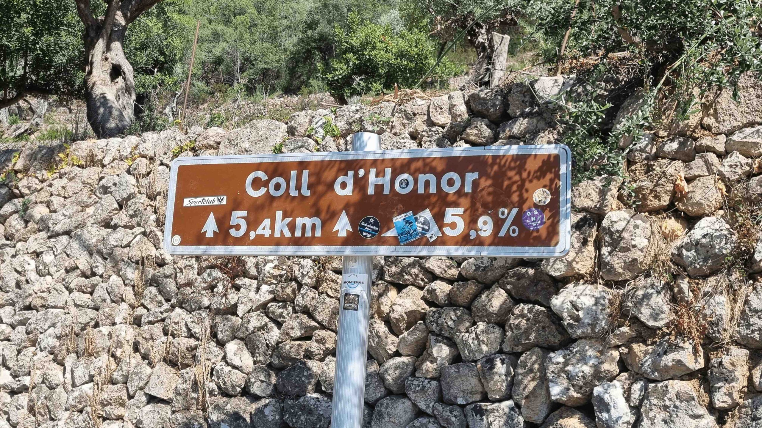 2025-Mallorca-Tag2 (35)