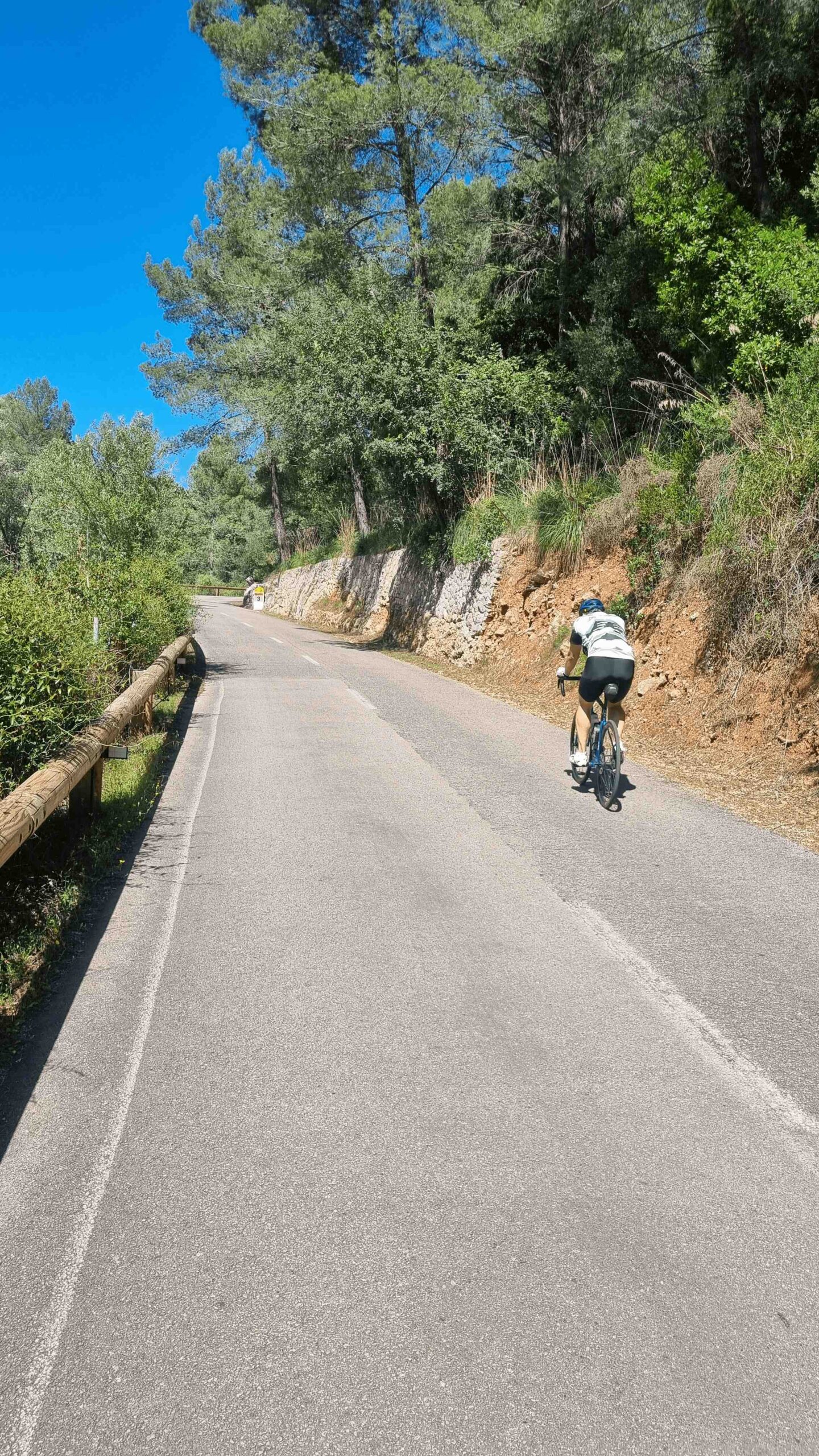 2025-Mallorca-Tag2 (37)