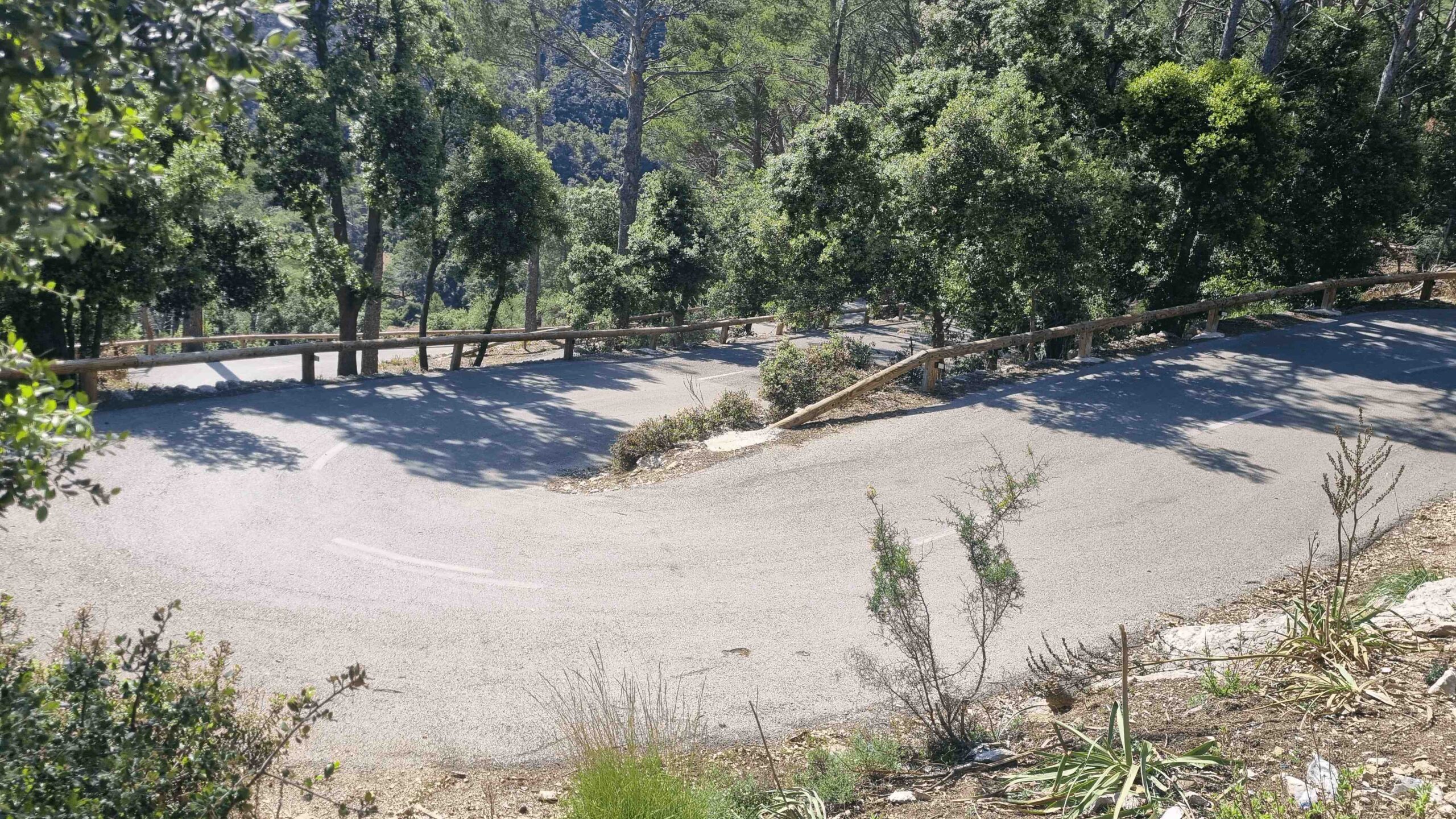 2025-Mallorca-Tag2 (39)