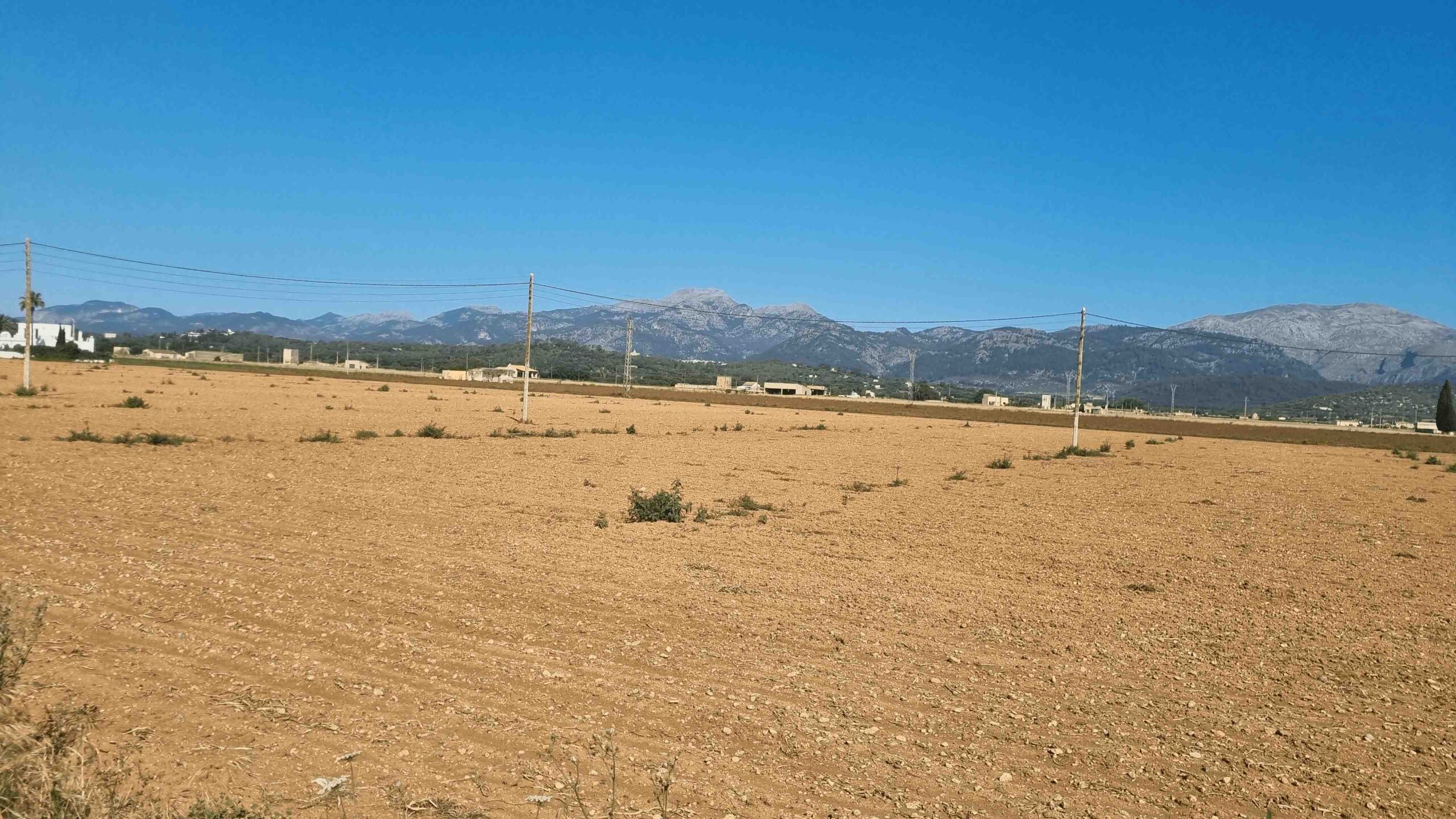 2025-Mallorca-Tag2 (4)