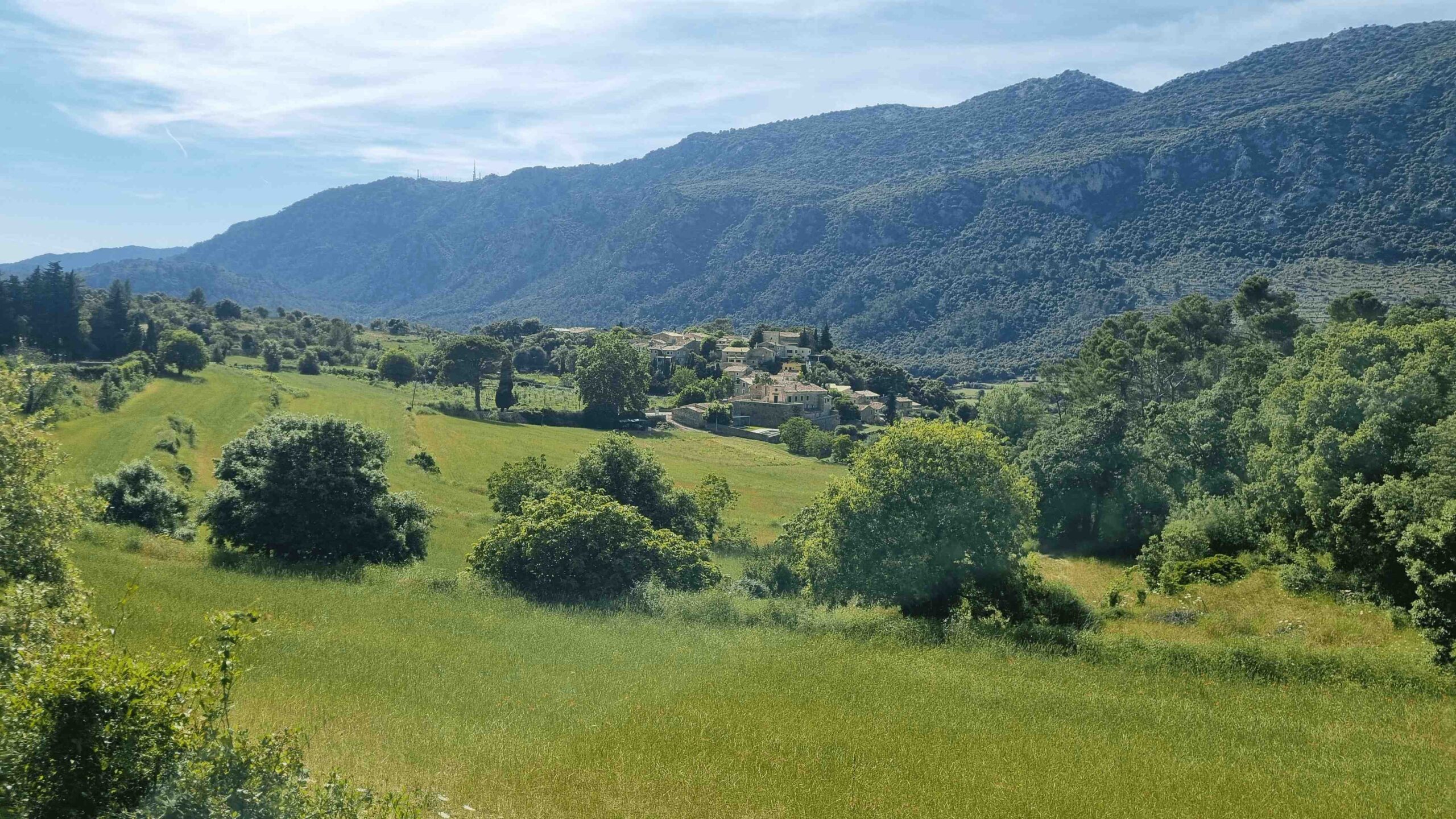 2025-Mallorca-Tag2 (42)