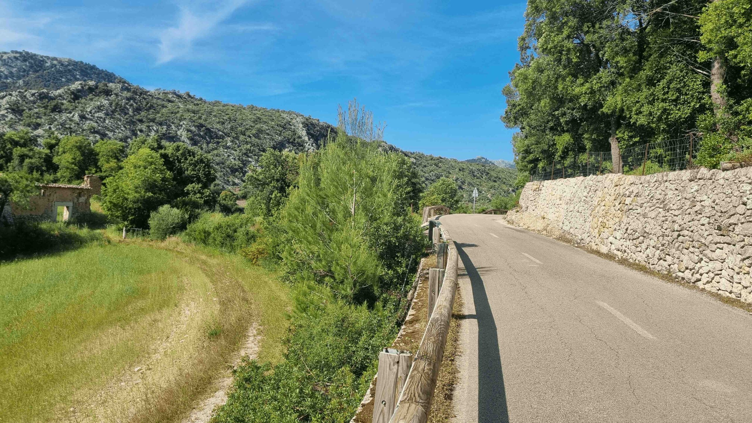 2025-Mallorca-Tag2 (43)