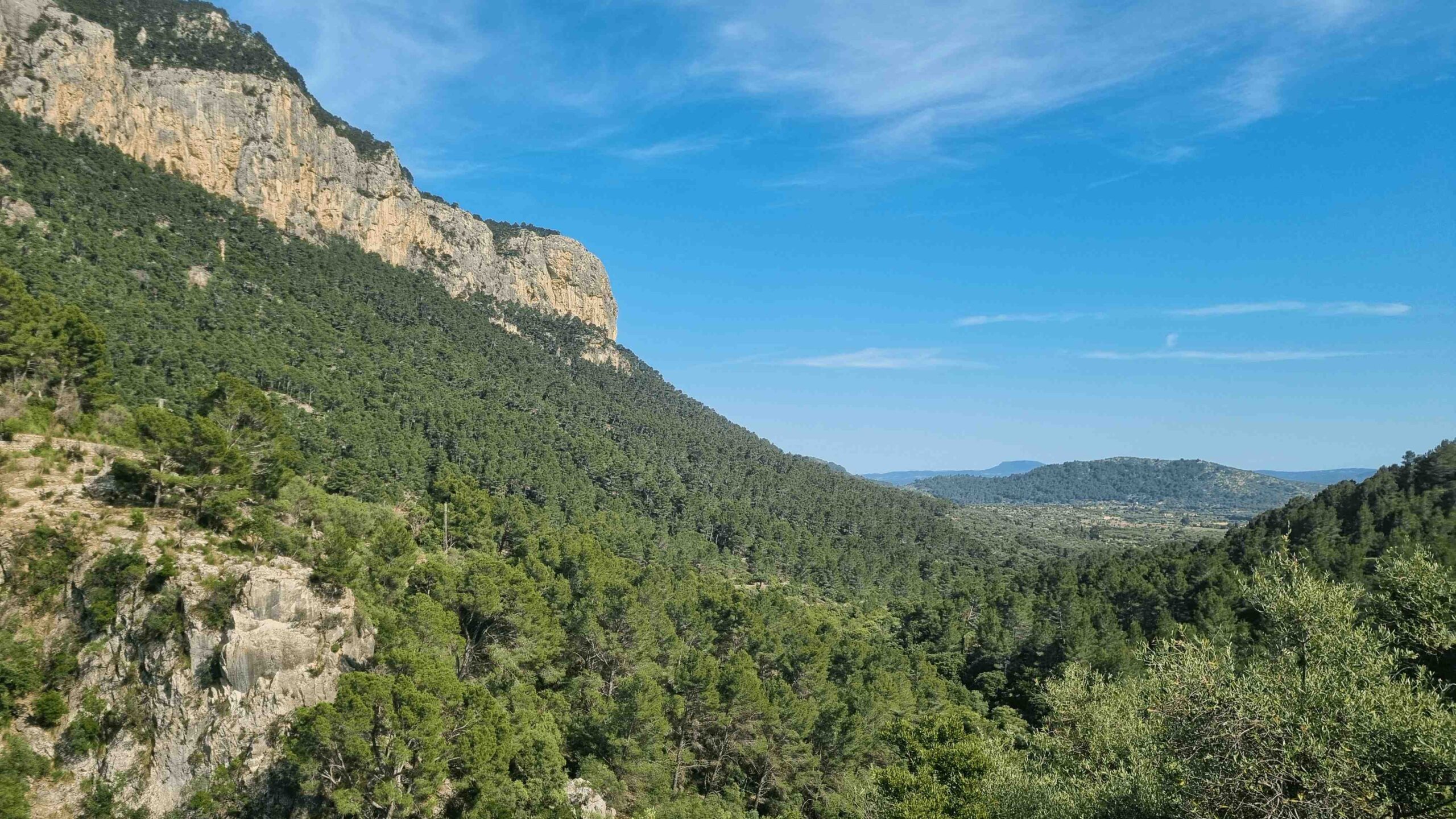 2025-Mallorca-Tag2 (44)