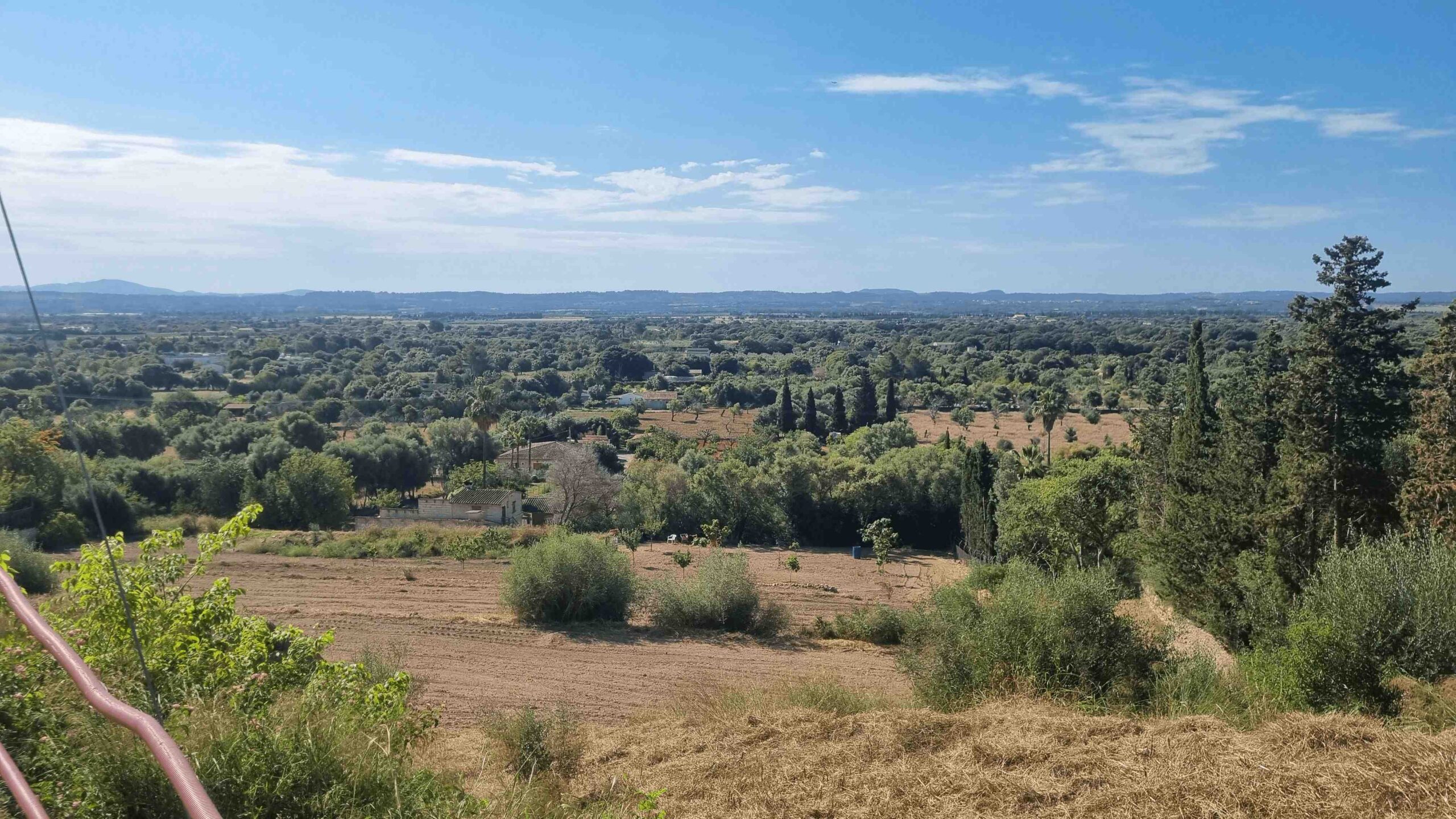 2025-Mallorca-Tag2 (6)