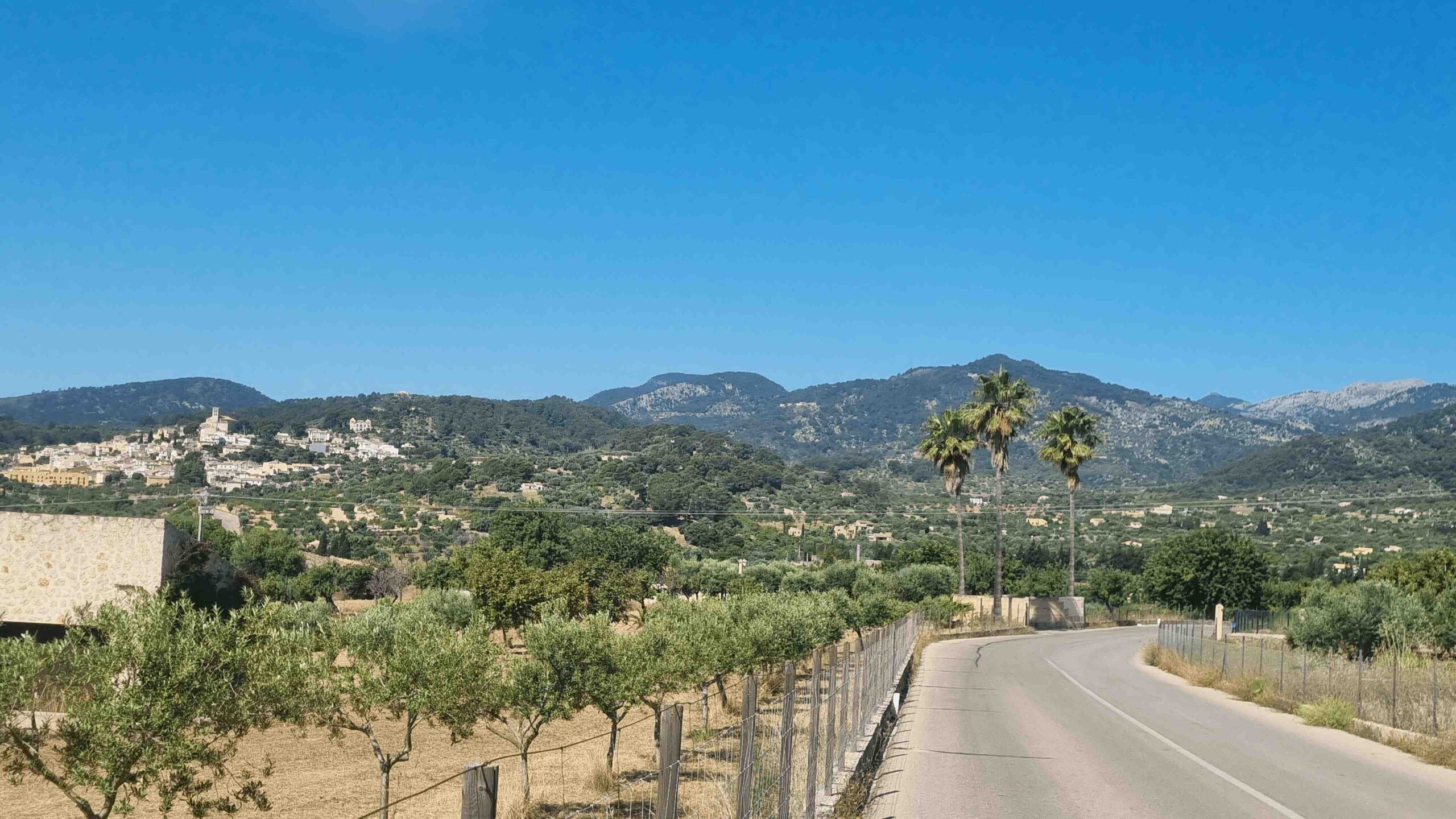 2025-Mallorca-Tag2 (8)