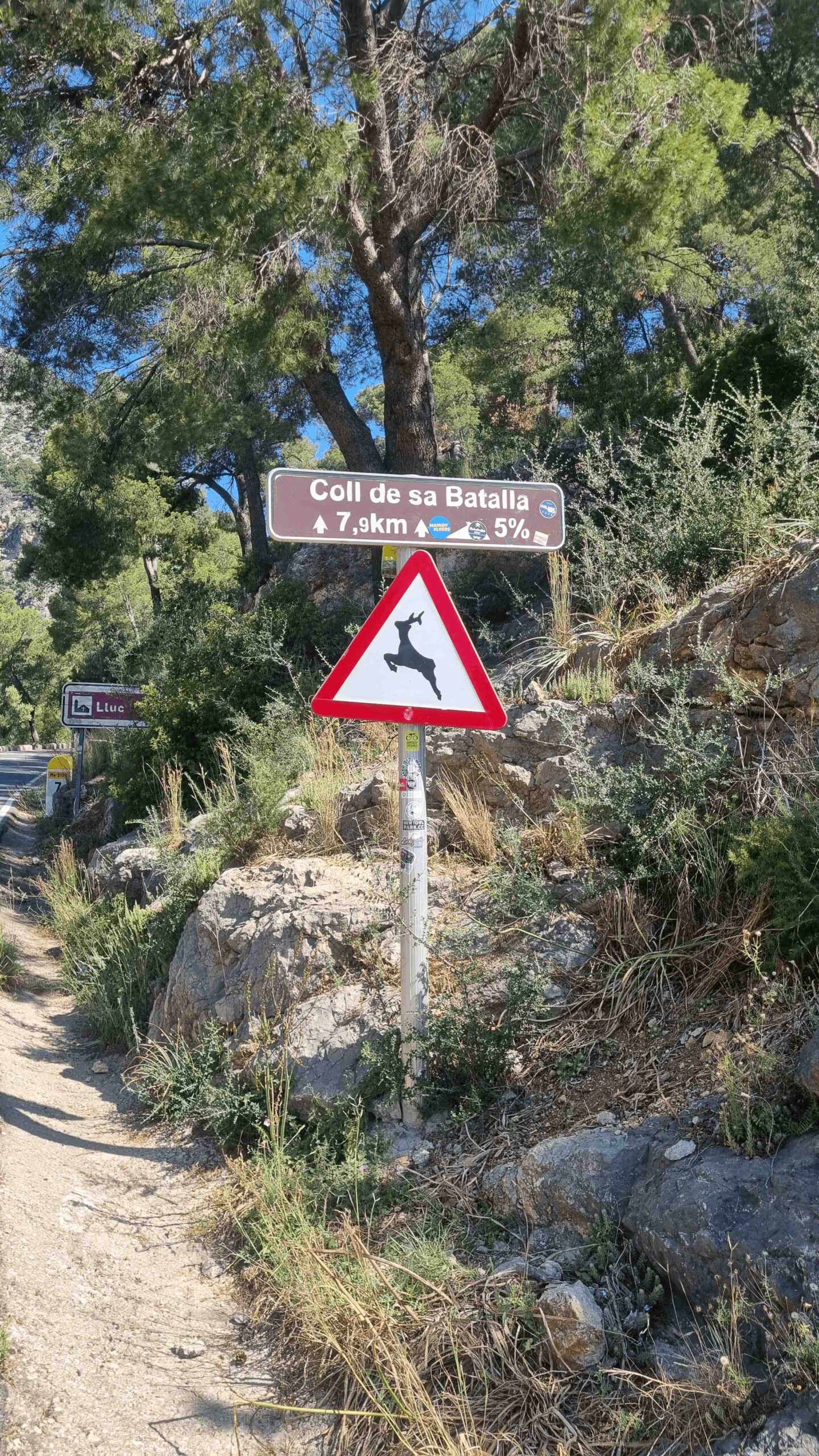 2025-Mallorca-Tag2 (9)