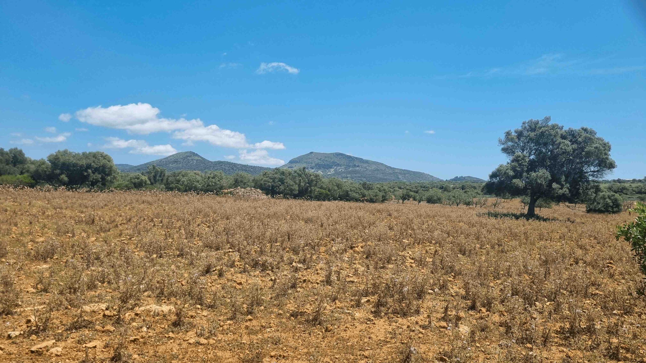 2025-Mallorca-Tag3 (10)