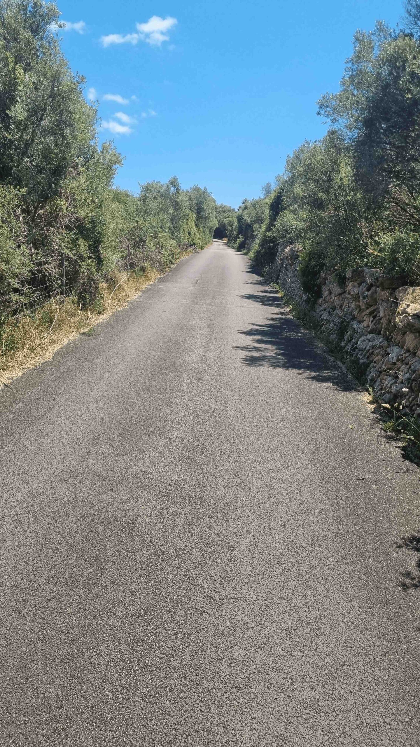 2025-Mallorca-Tag3 (12)