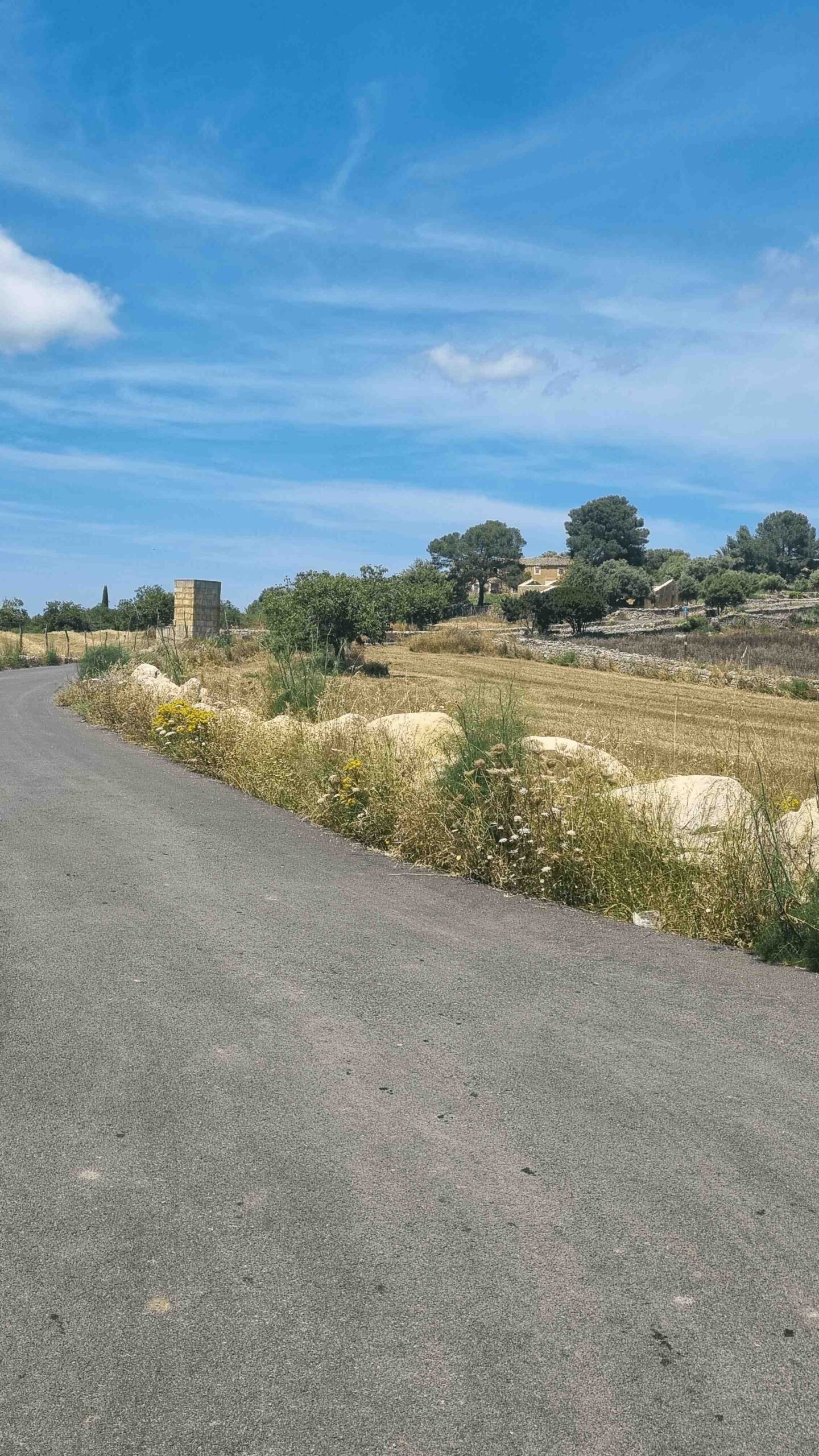 2025-Mallorca-Tag3 (13)