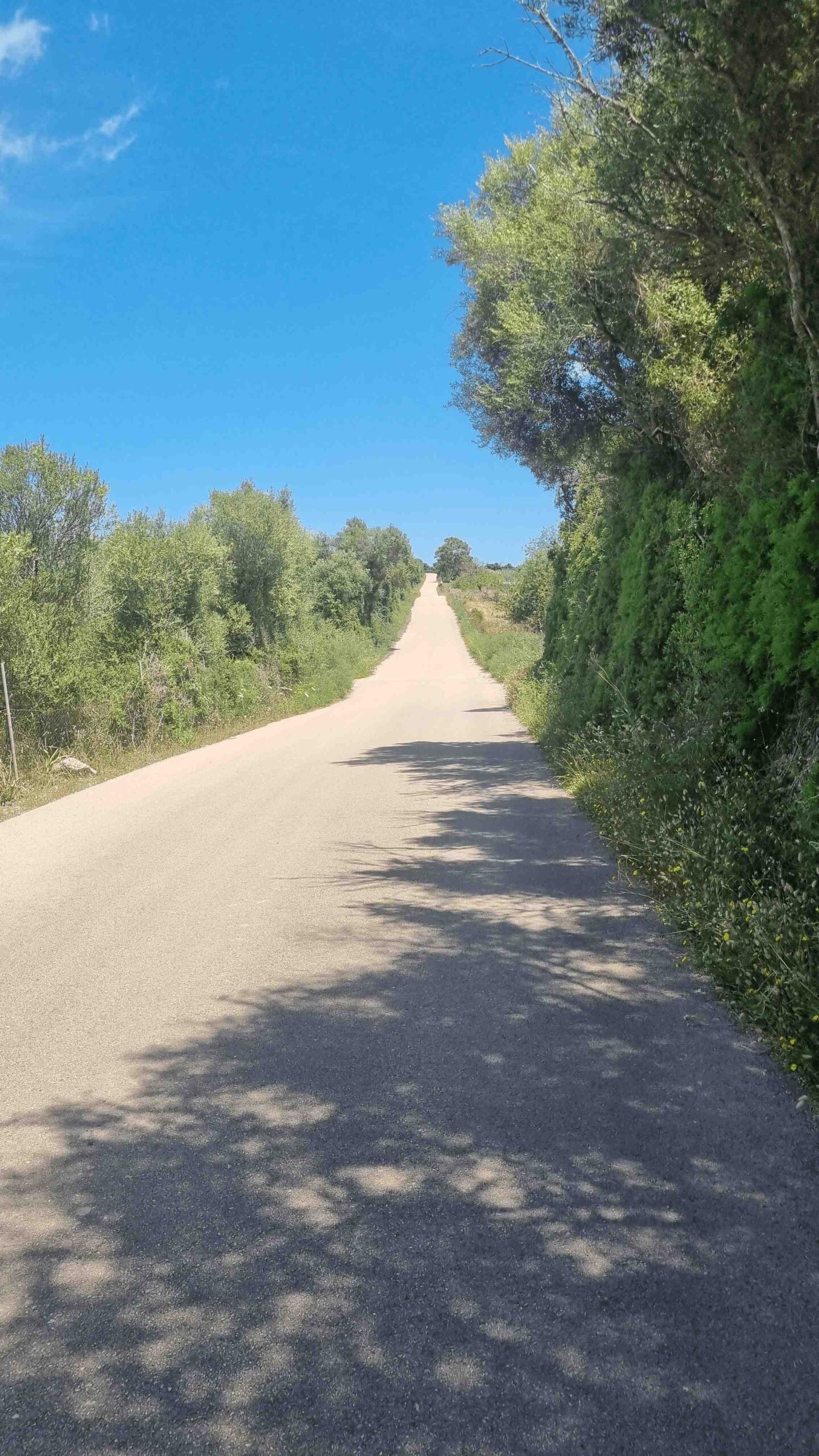 2025-Mallorca-Tag3 (14)