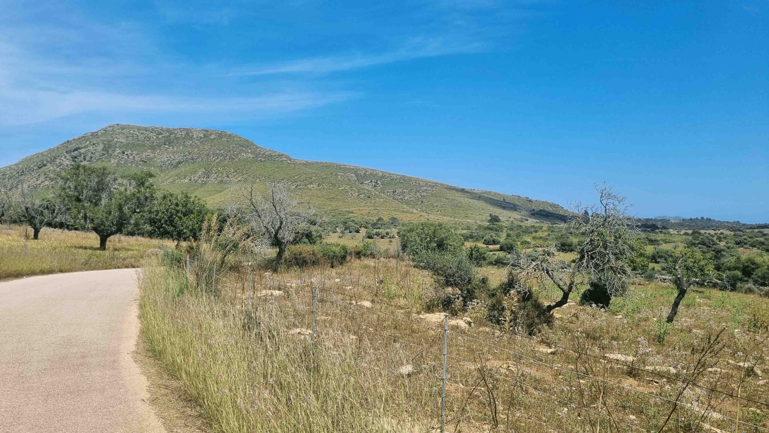 2025-Mallorca-Tag3 (15)