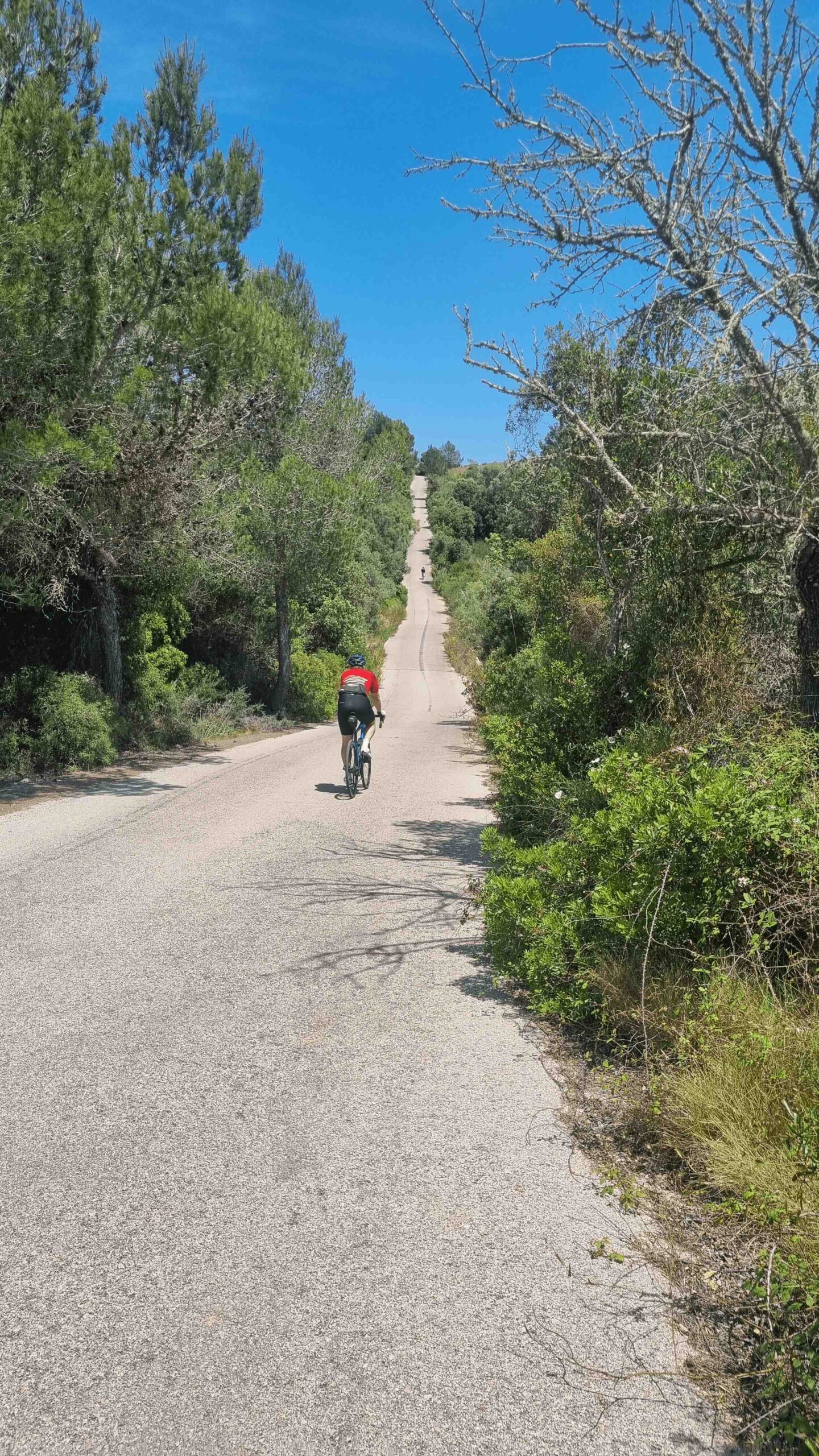 2025-Mallorca-Tag3 (16)