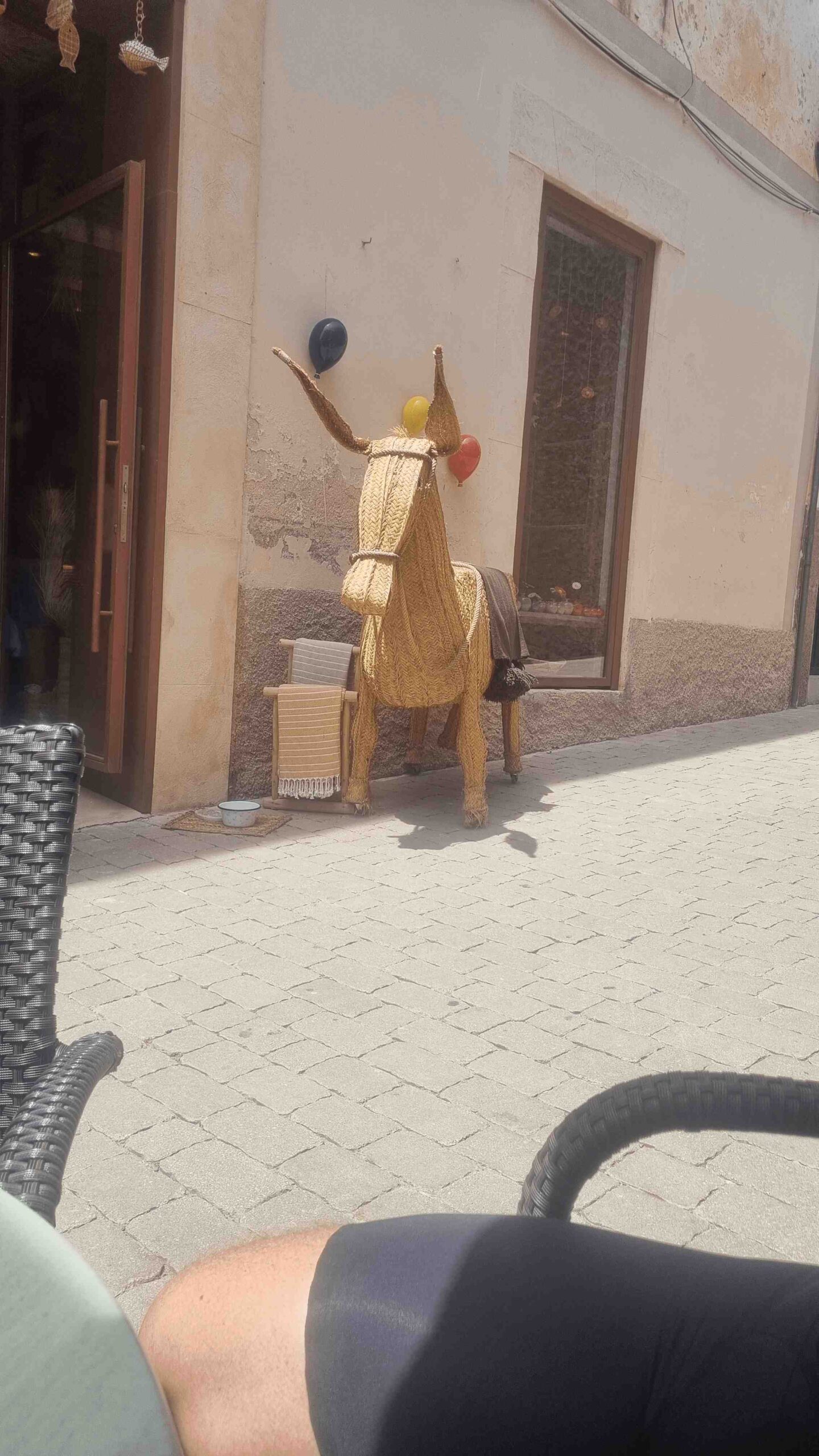 2025-Mallorca-Tag3 (17)