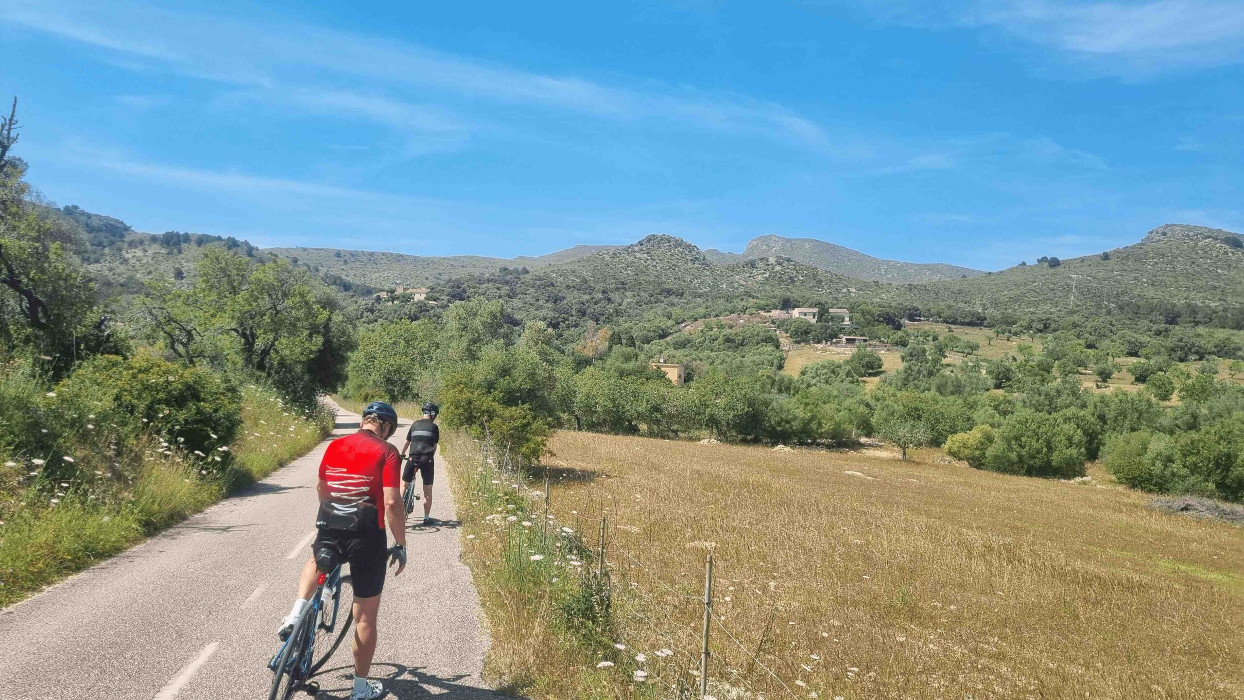 2025-Mallorca-Tag3 (21)