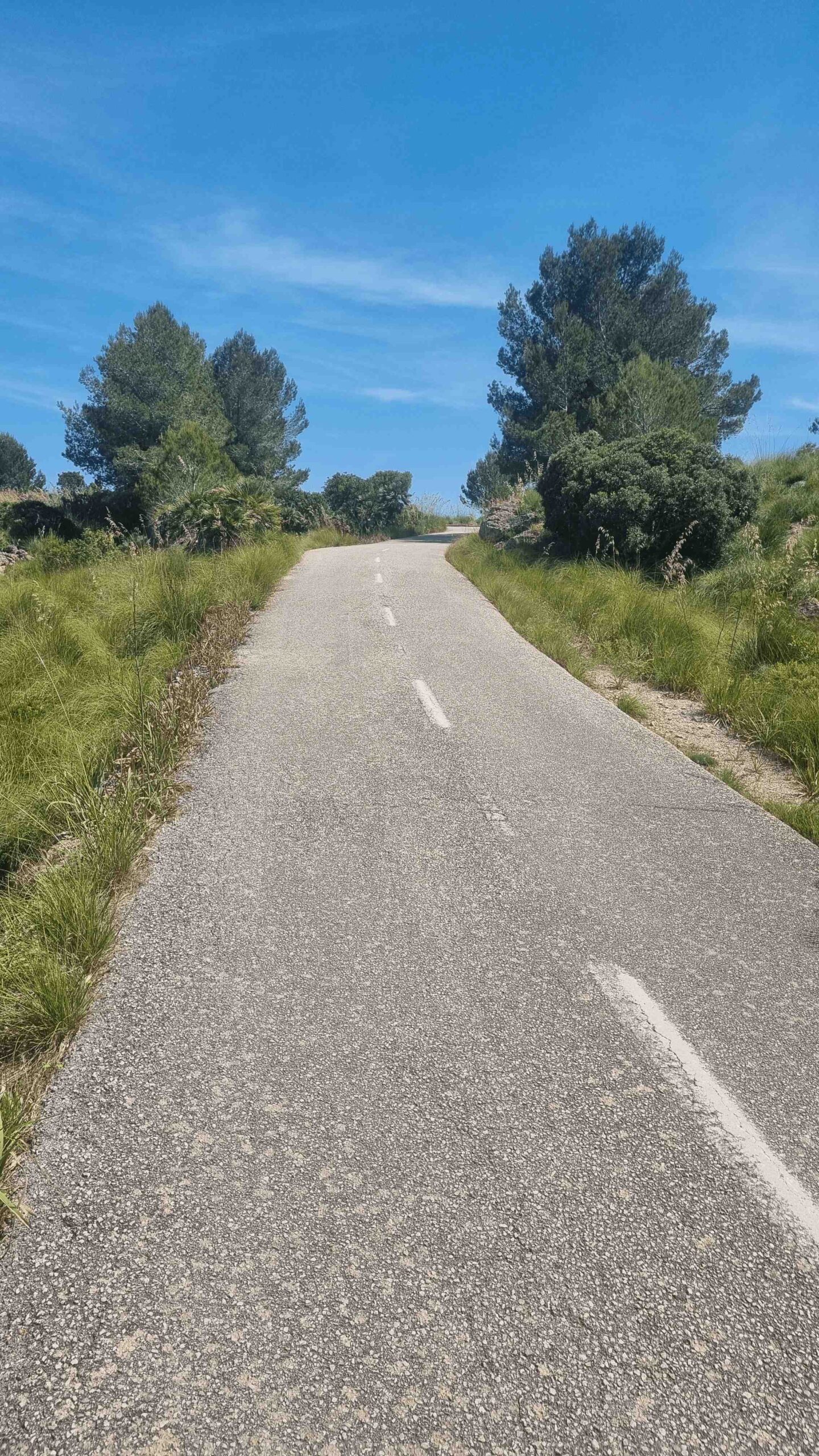 2025-Mallorca-Tag3 (22)