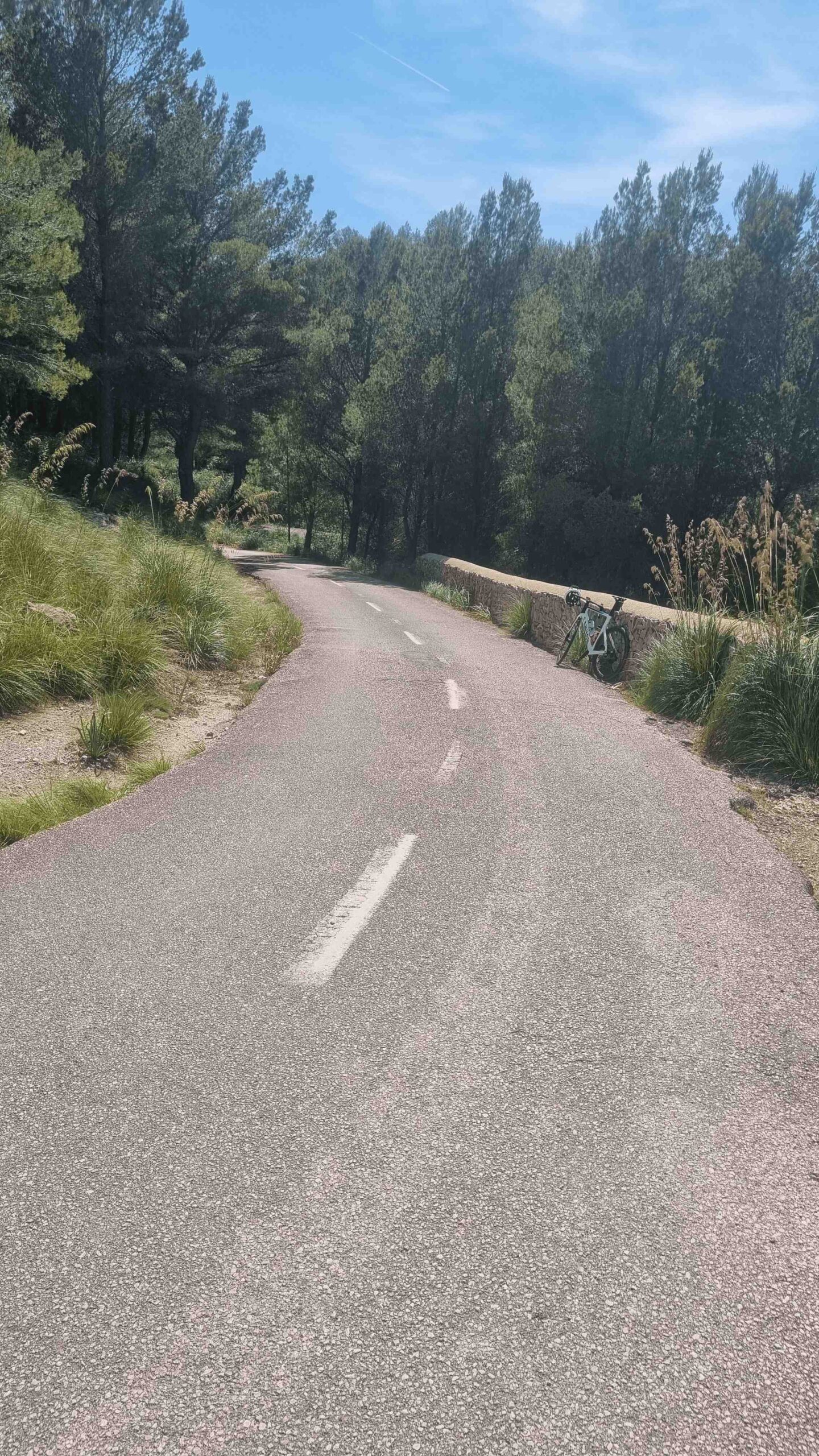 2025-Mallorca-Tag3 (23)