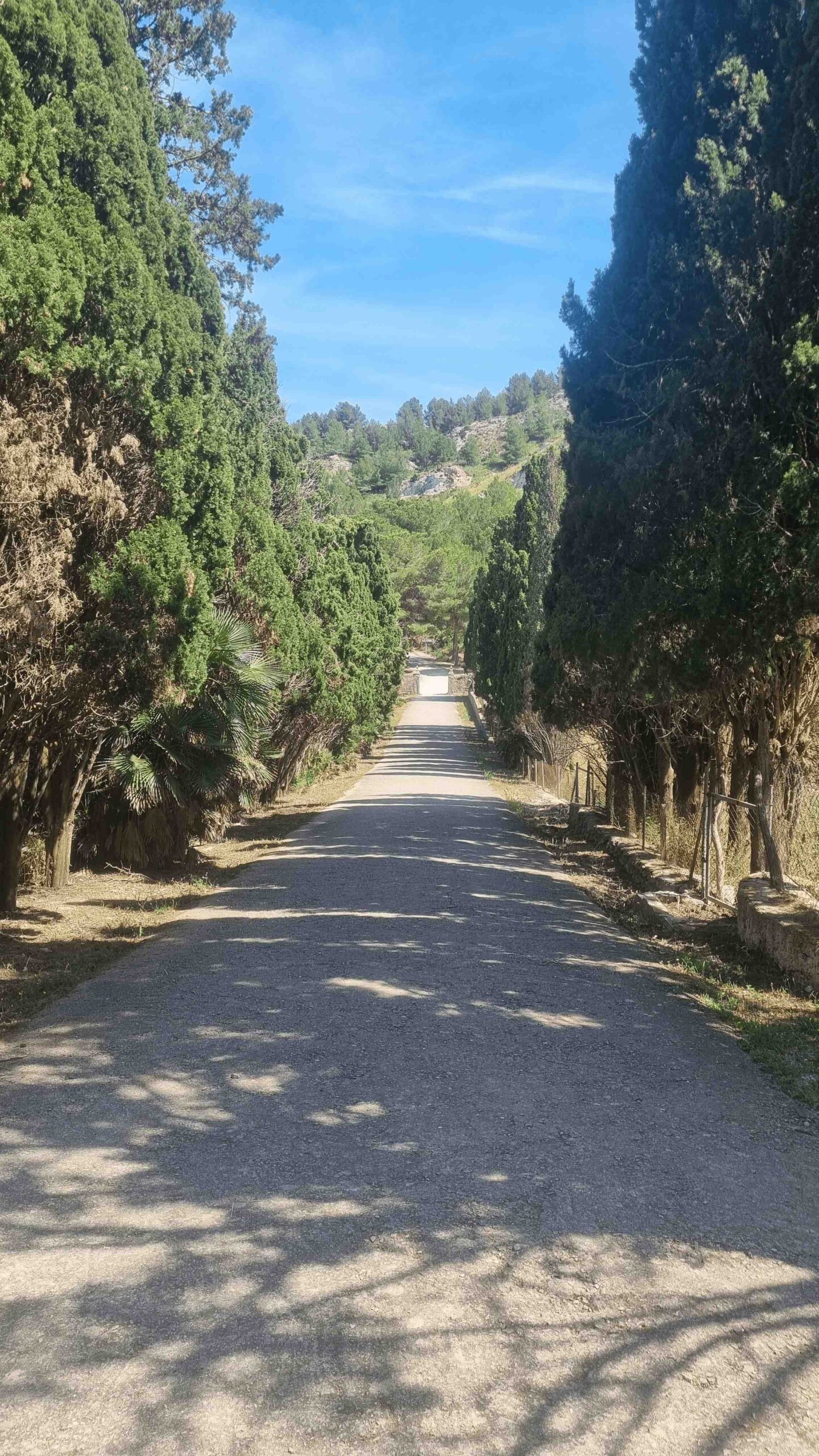 2025-Mallorca-Tag3 (27)