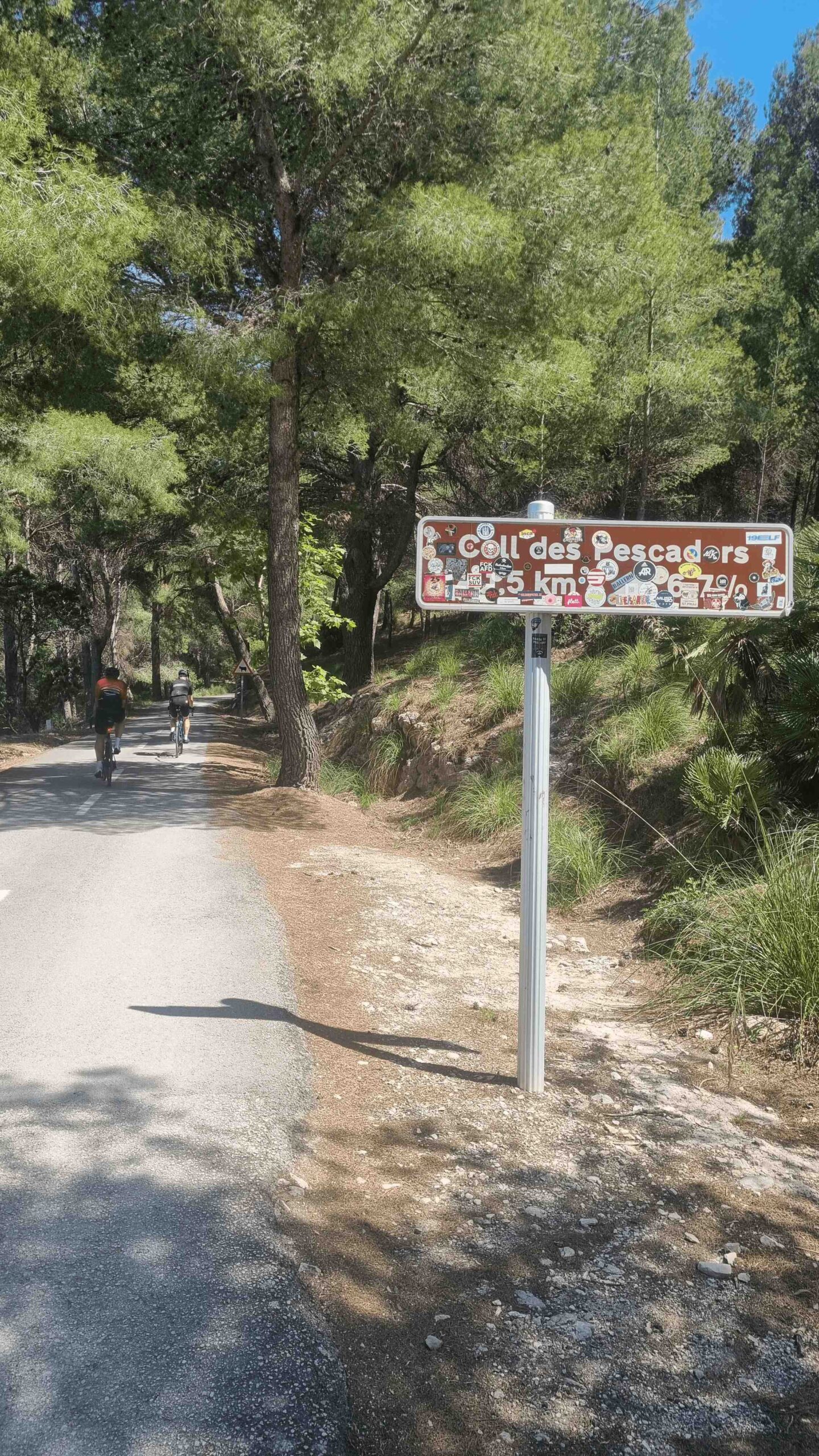 2025-Mallorca-Tag3 (28)