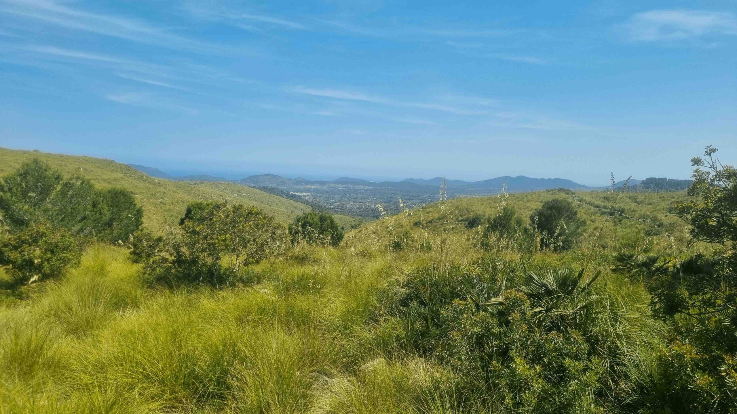 2025-Mallorca-Tag3 (29)