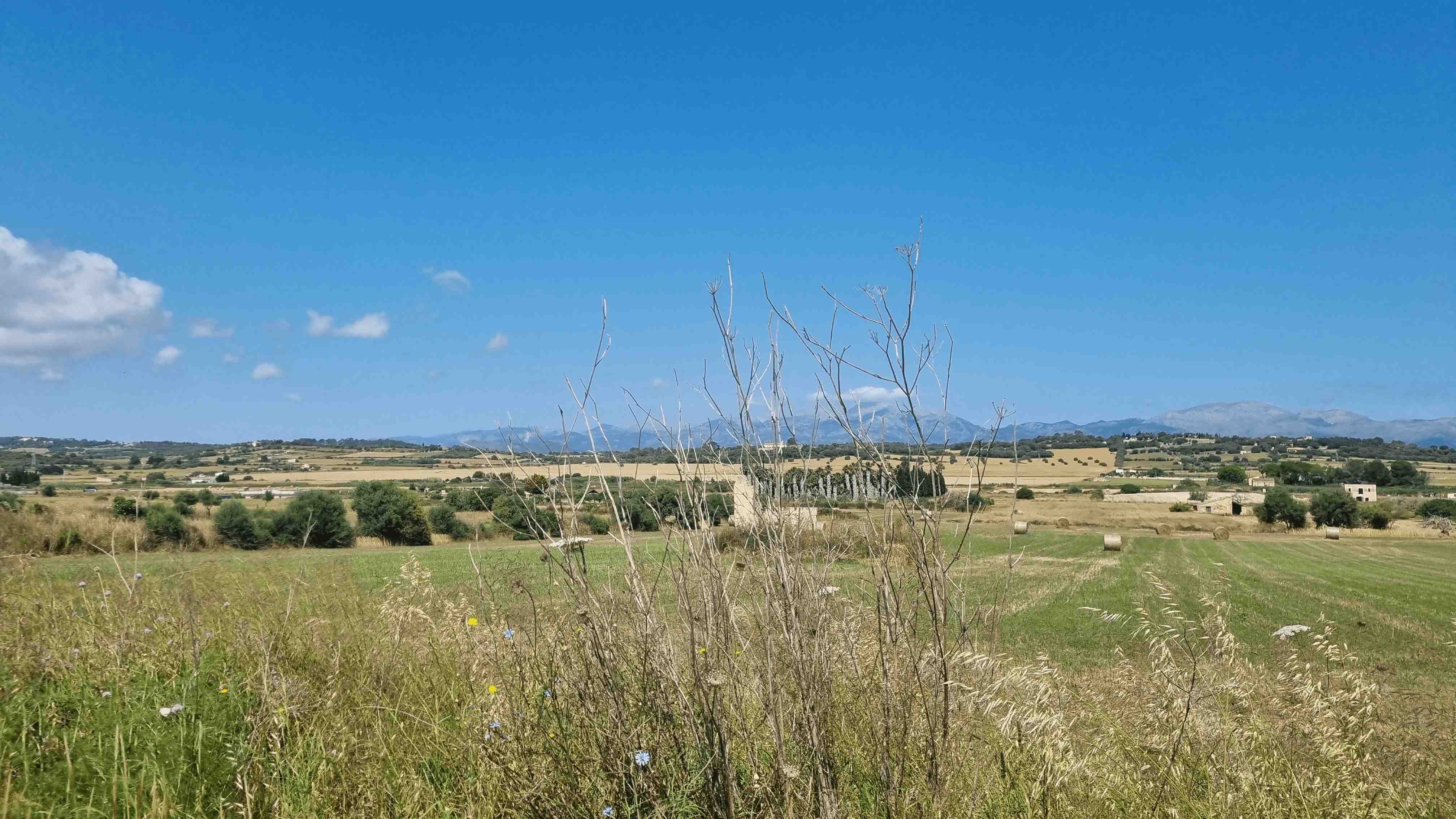 2025-Mallorca-Tag3 (3)