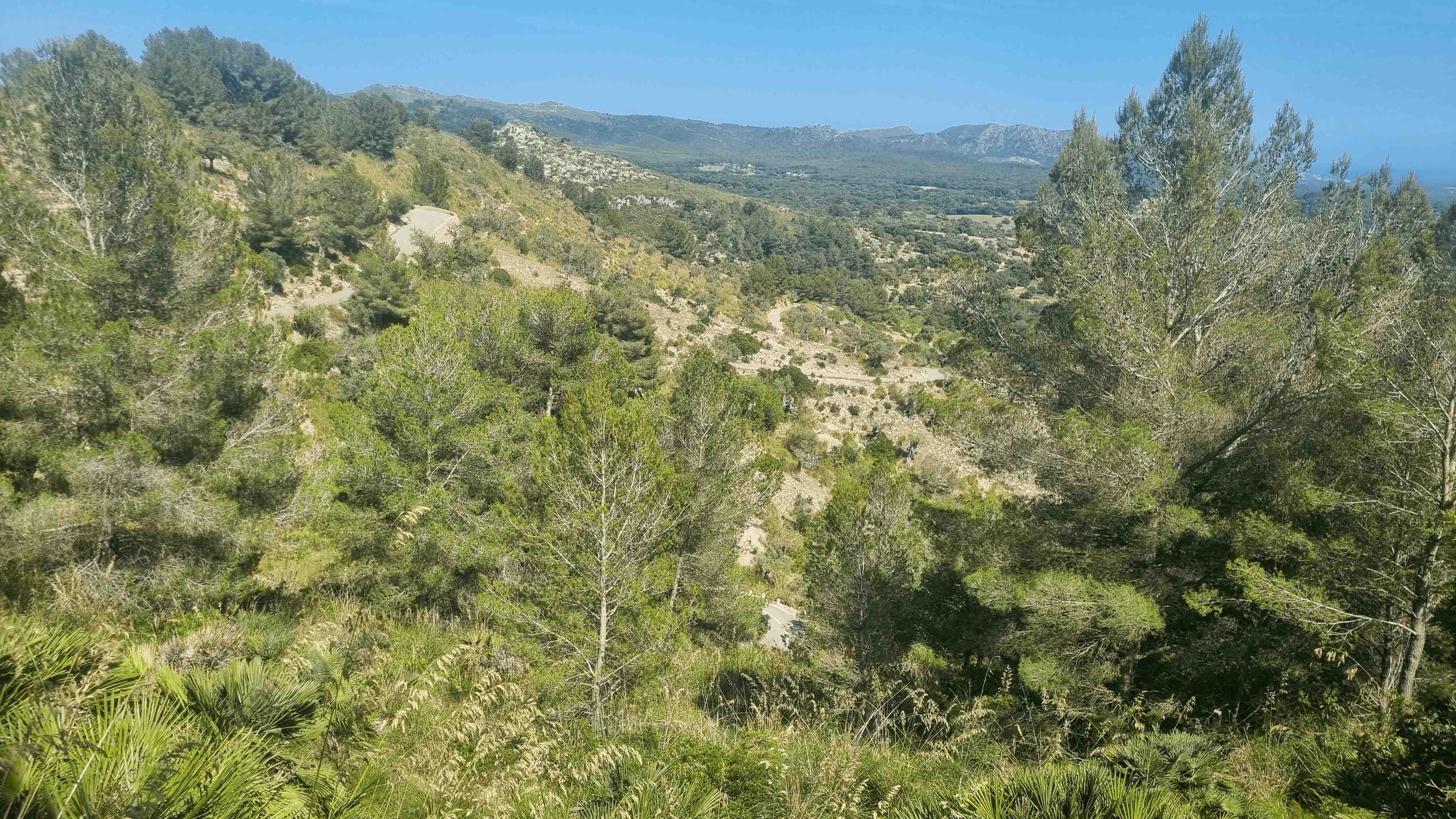 2025-Mallorca-Tag3 (30)