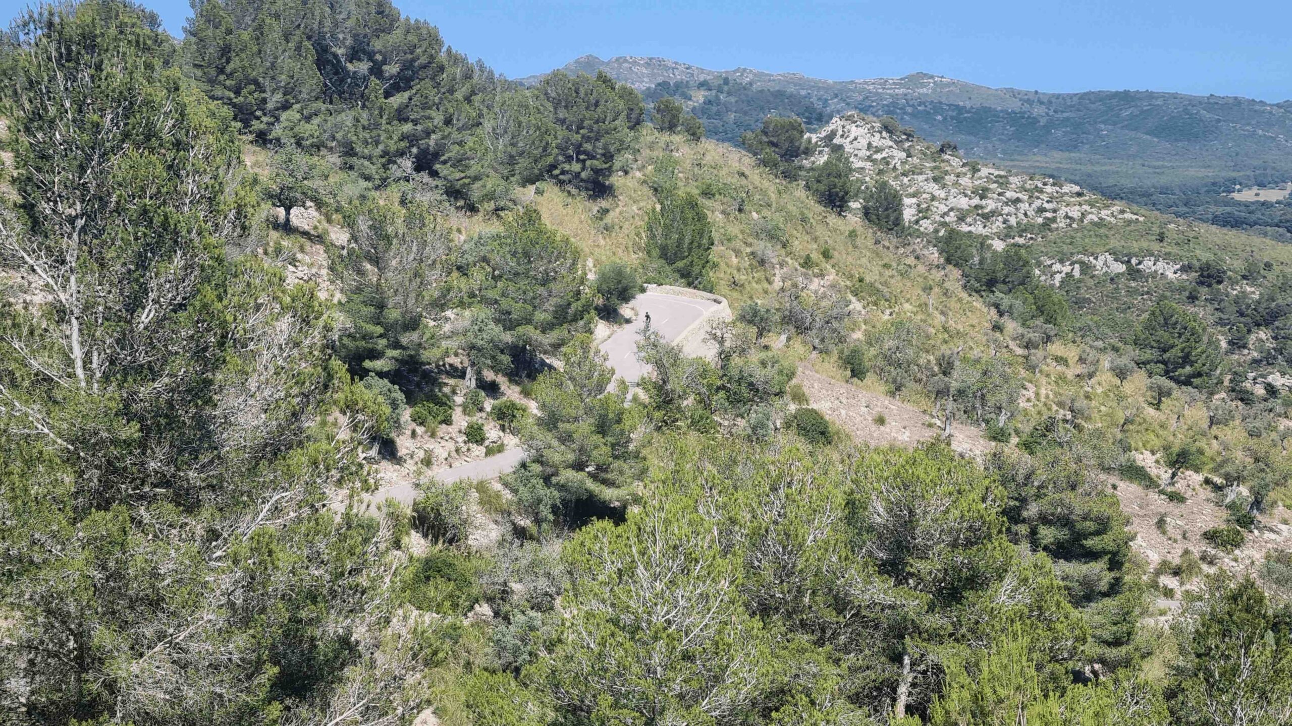 2025-Mallorca-Tag3 (31)