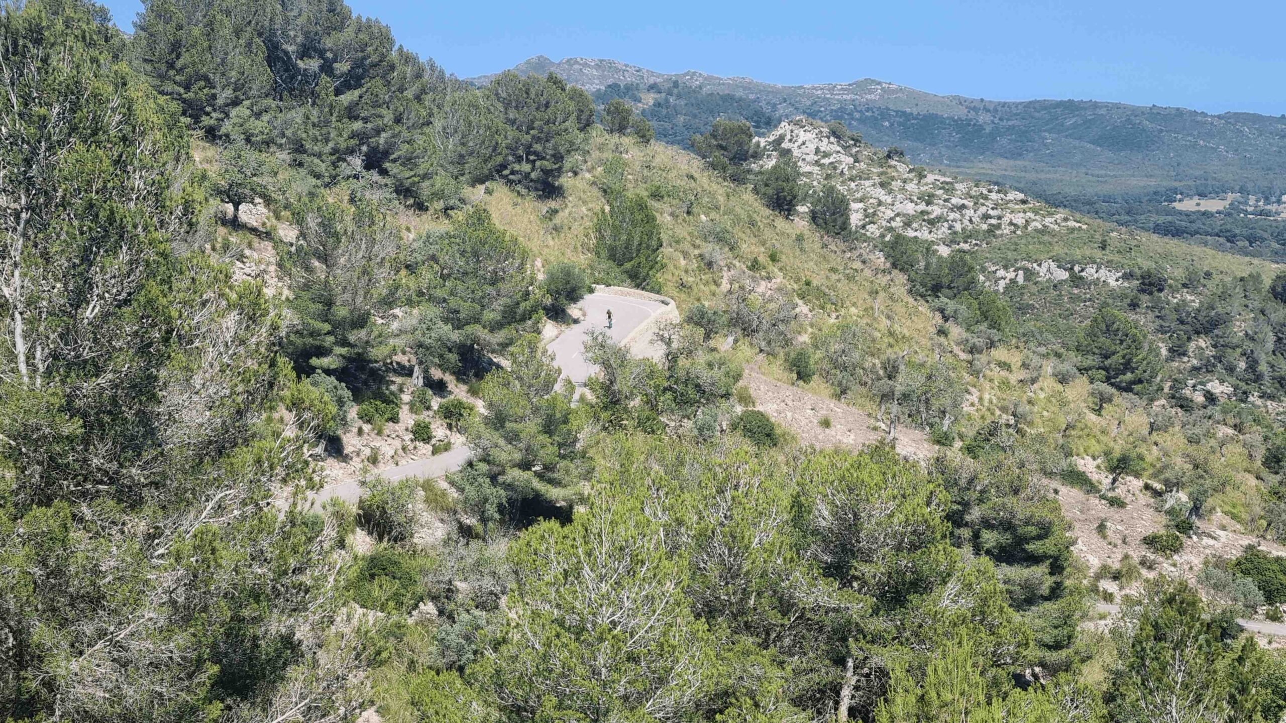 2025-Mallorca-Tag3 (32)