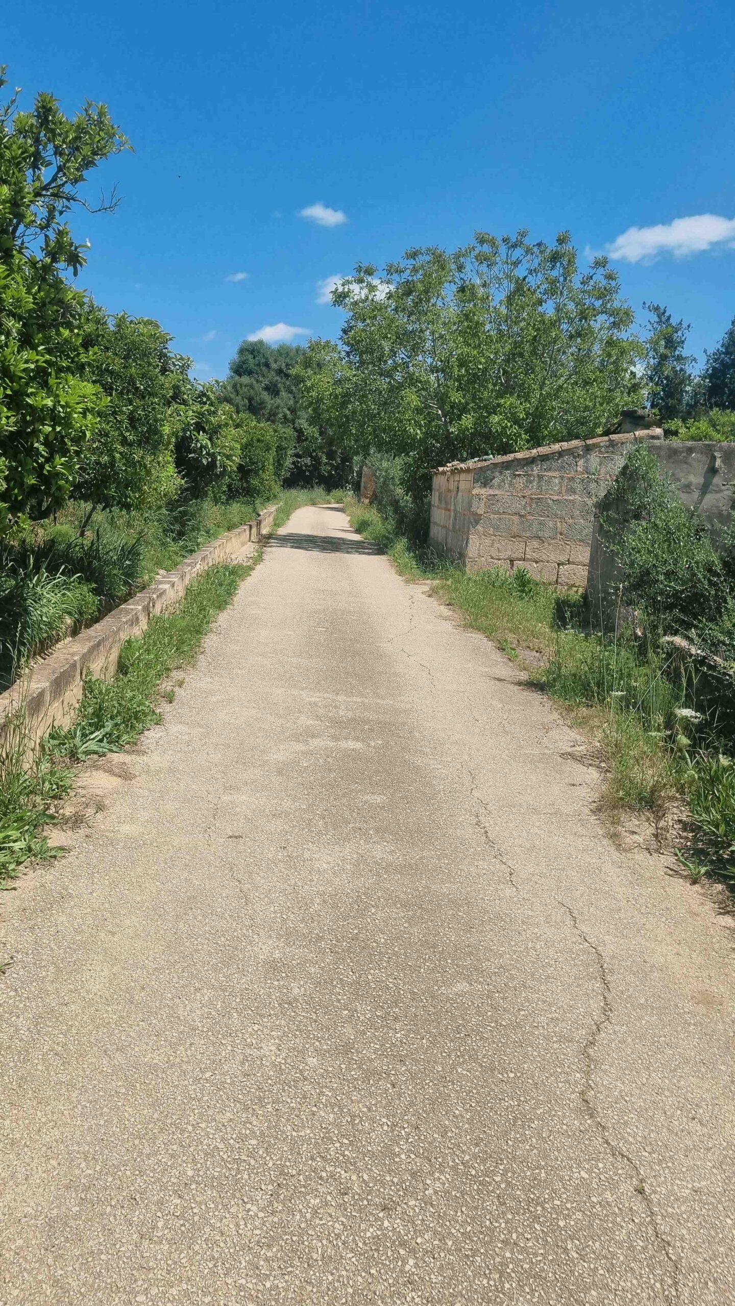 2025-Mallorca-Tag3 (7)