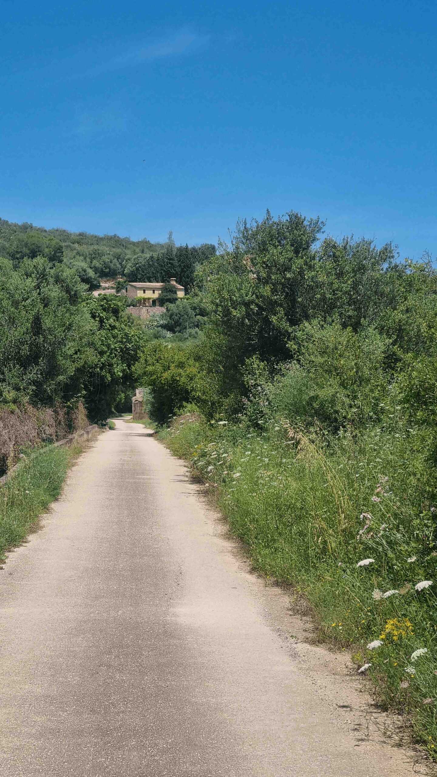 2025-Mallorca-Tag3 (8)