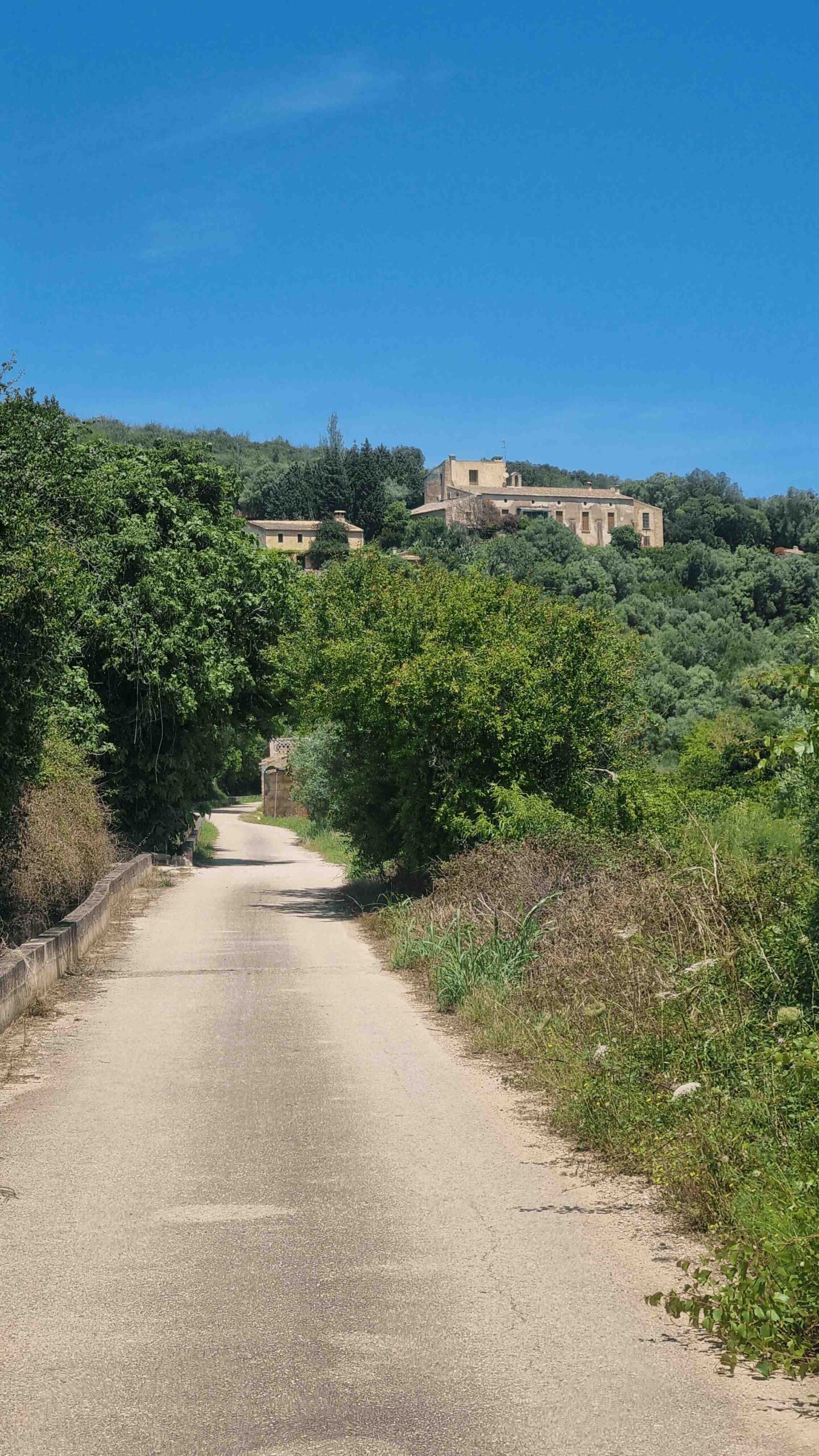 2025-Mallorca-Tag3 (9)