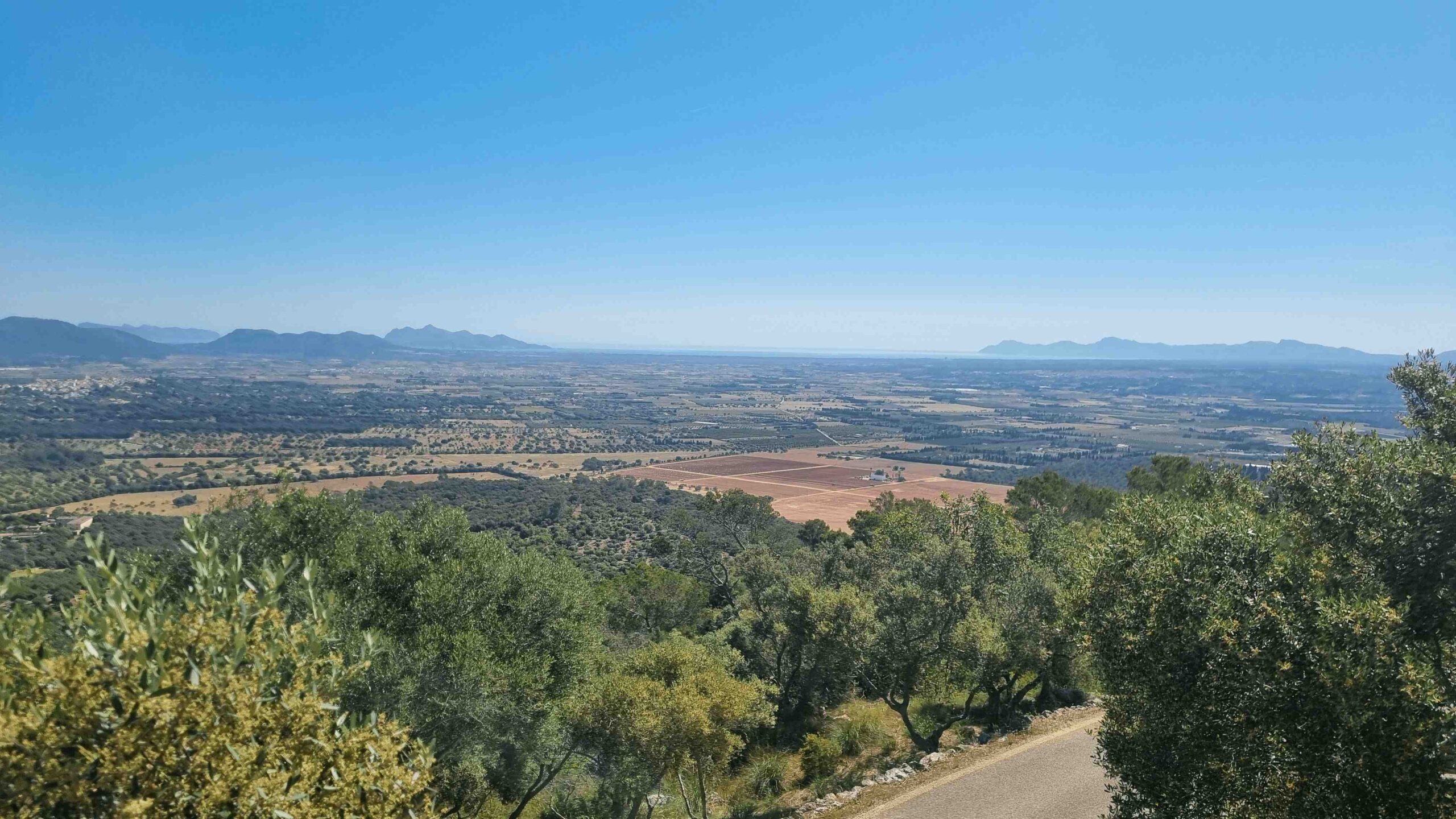 2025-Mallorca-Tag4 (12)