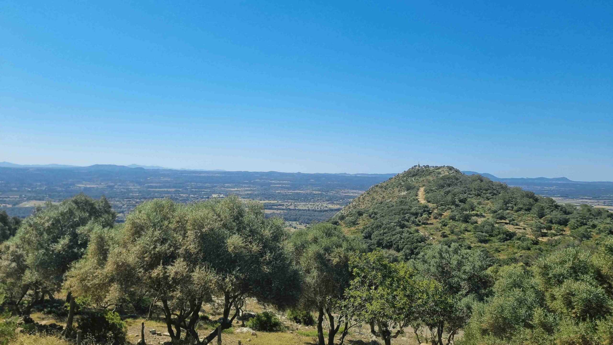 2025-Mallorca-Tag4 (13)