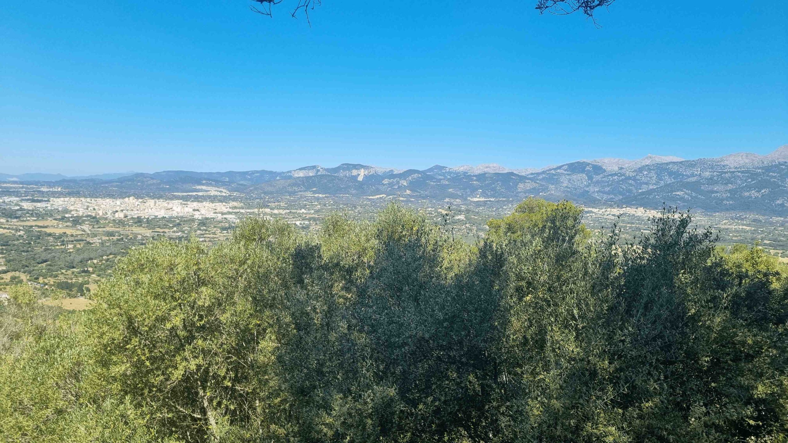 2025-Mallorca-Tag4 (15)