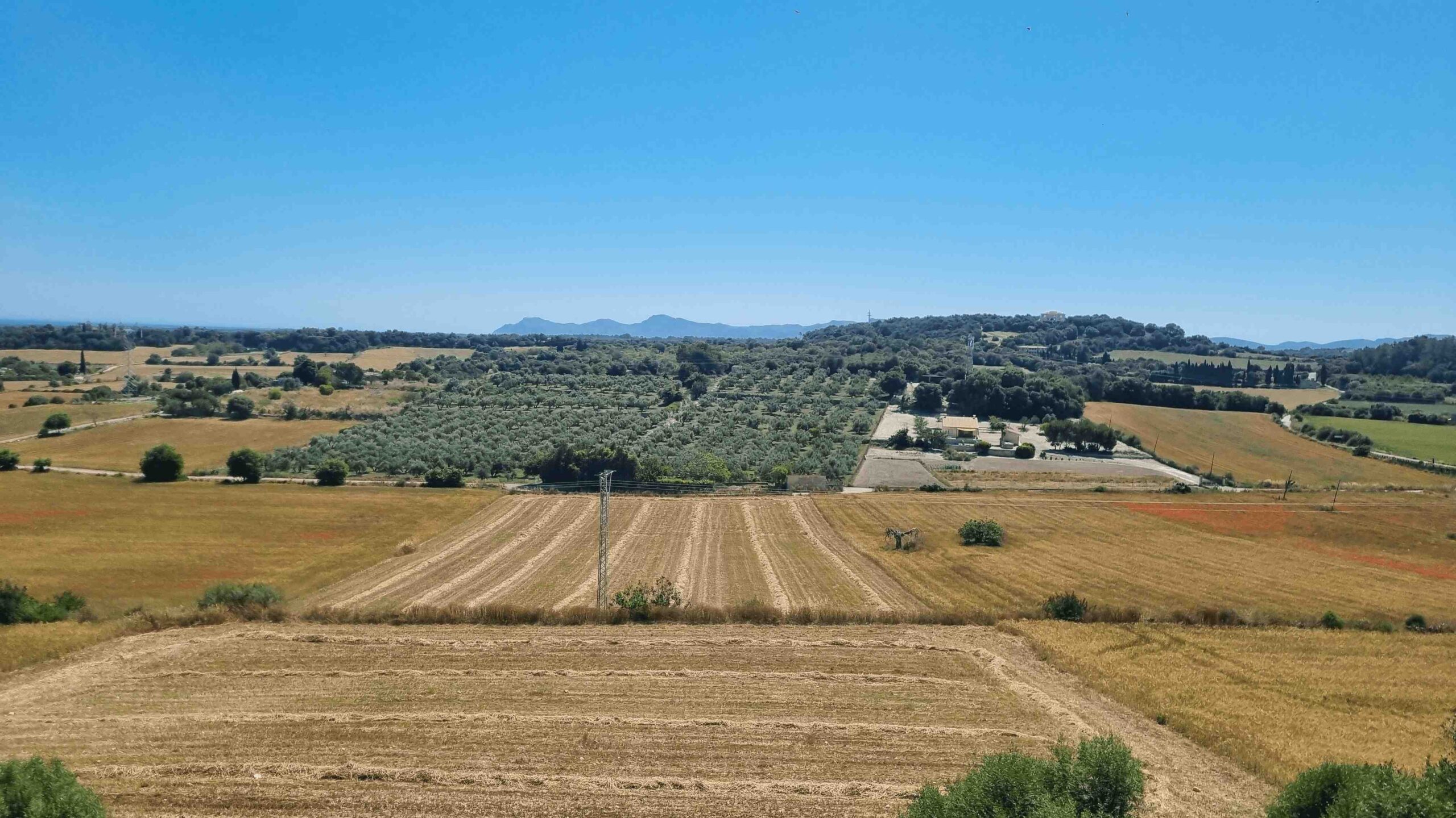 2025-Mallorca-Tag4 (18)