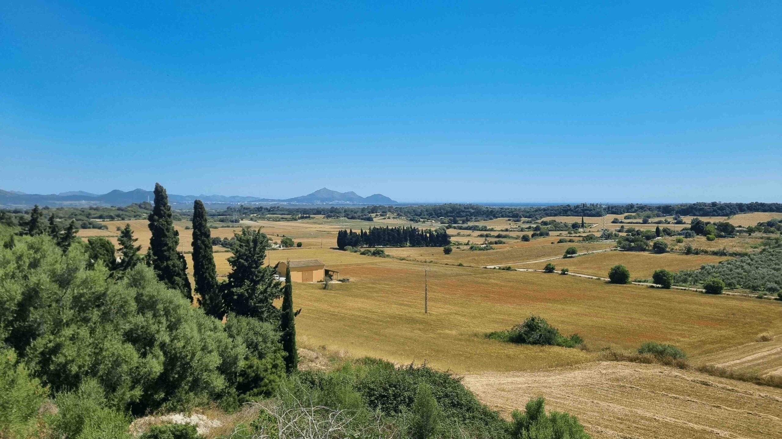 2025-Mallorca-Tag4 (19)