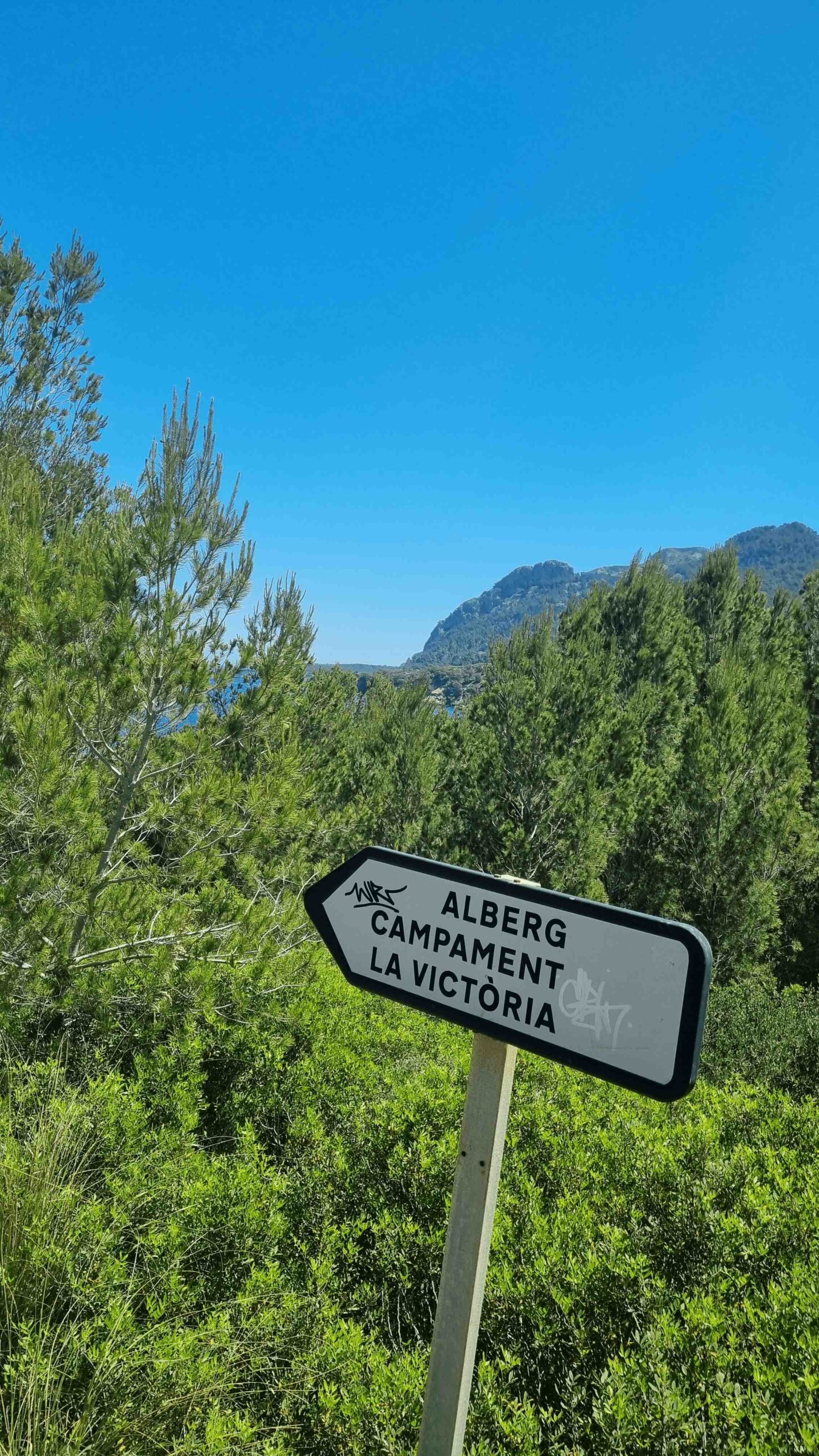 2025-Mallorca-Tag4 (25)