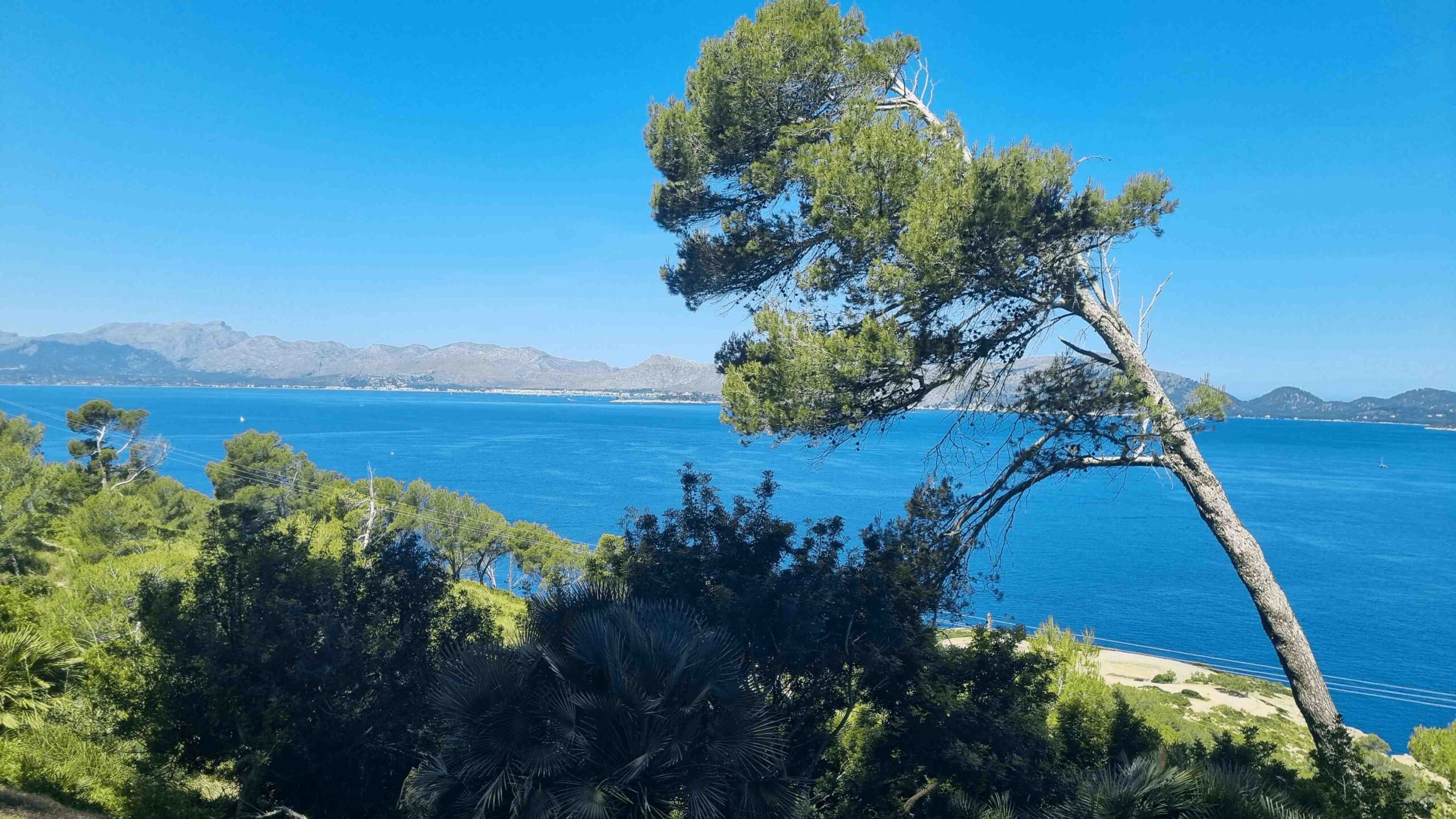 2025-Mallorca-Tag4 (28)