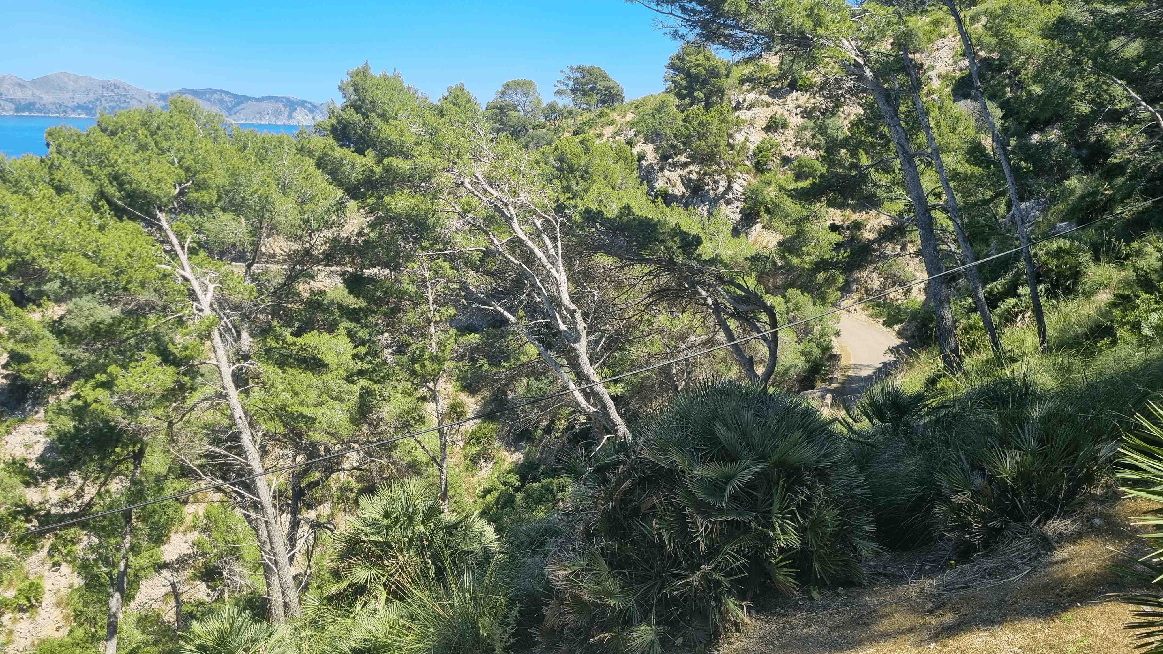 2025-Mallorca-Tag4 (29)